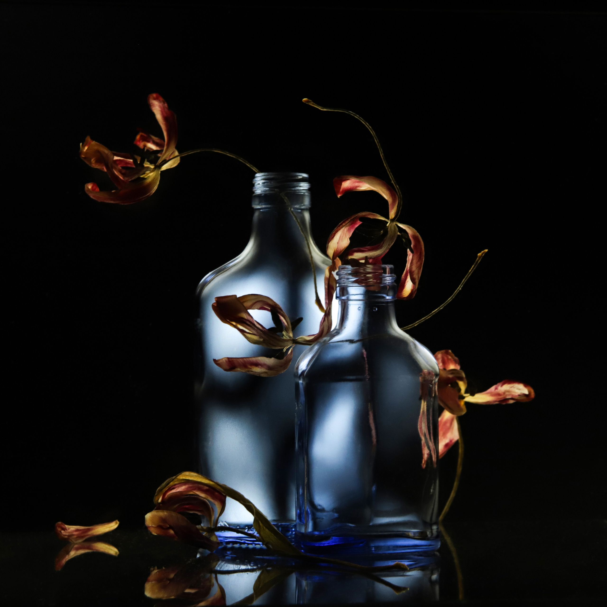 Стекло. Мария Пичугина — фотограф в Петергофе — Санкт-Петербурге