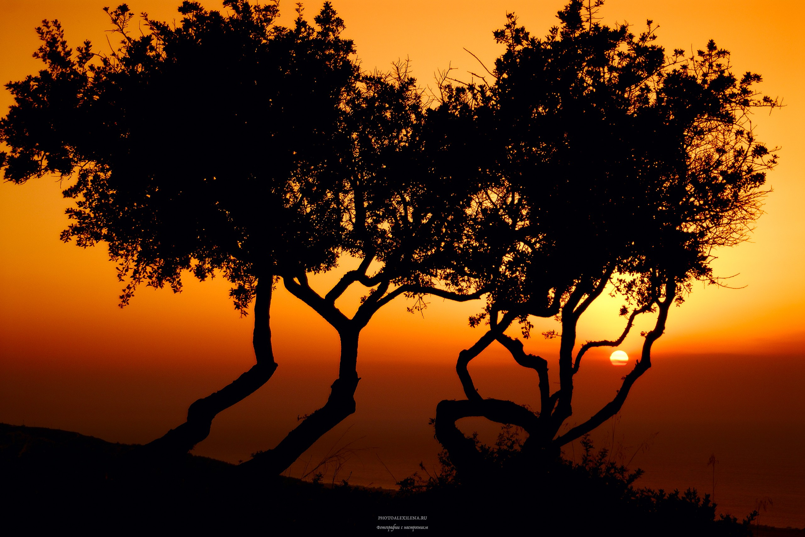 Светило в кадре. Авторские стильные фотокартины