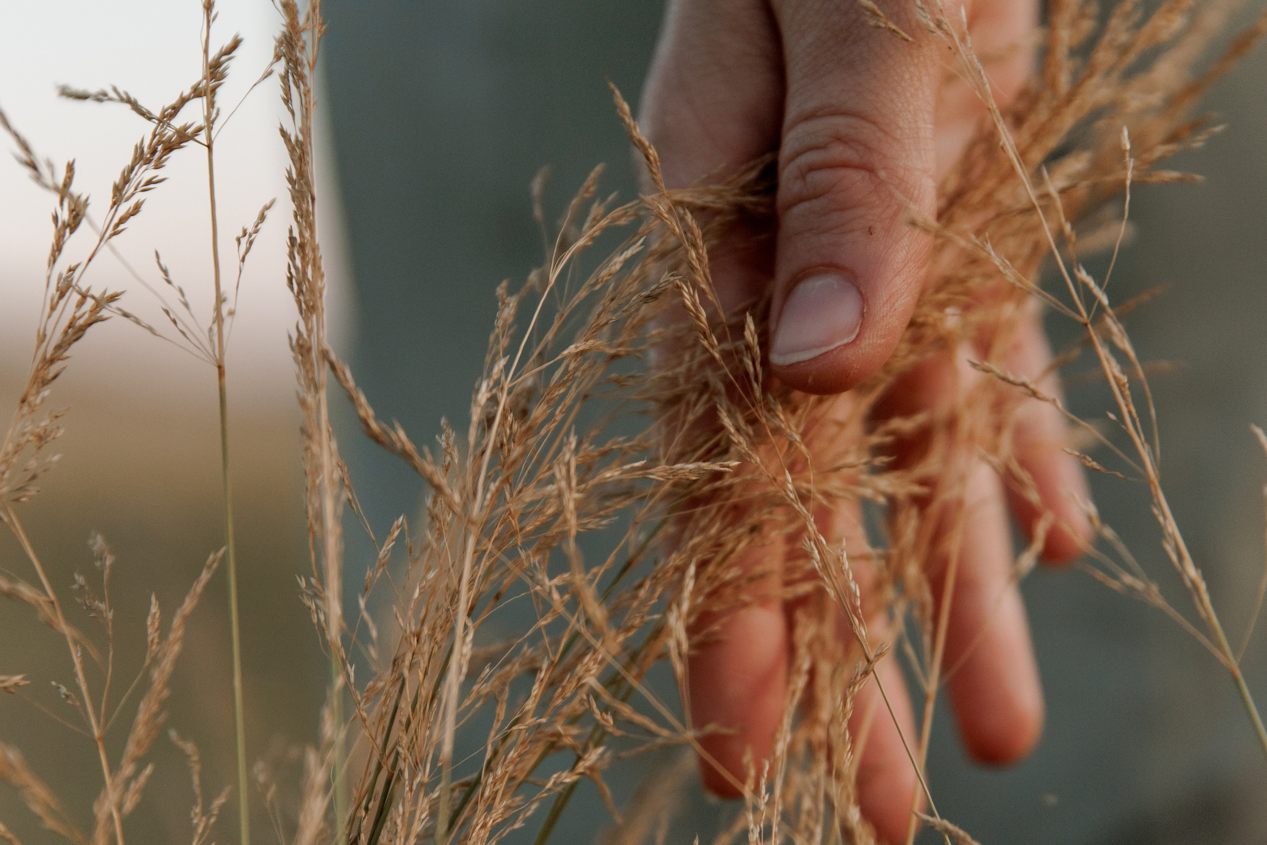 За городом. Свадебный и семейный фотограф в Екатеринбурге Катя Буряк