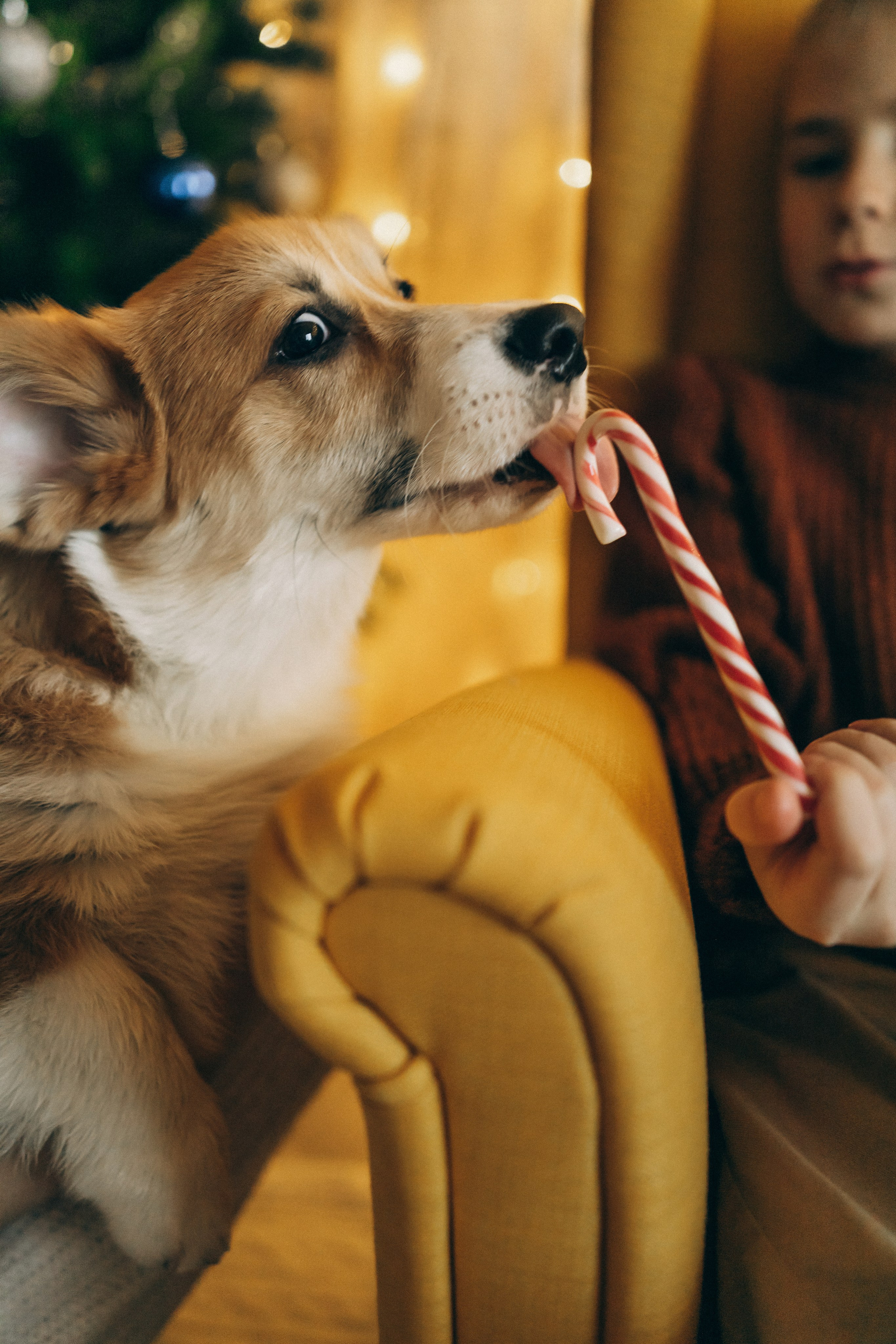 Марина, Коля, Даня и Маша. Семейный фотограф и детский фотограф в Волгограде Алеся Бутакова — дет