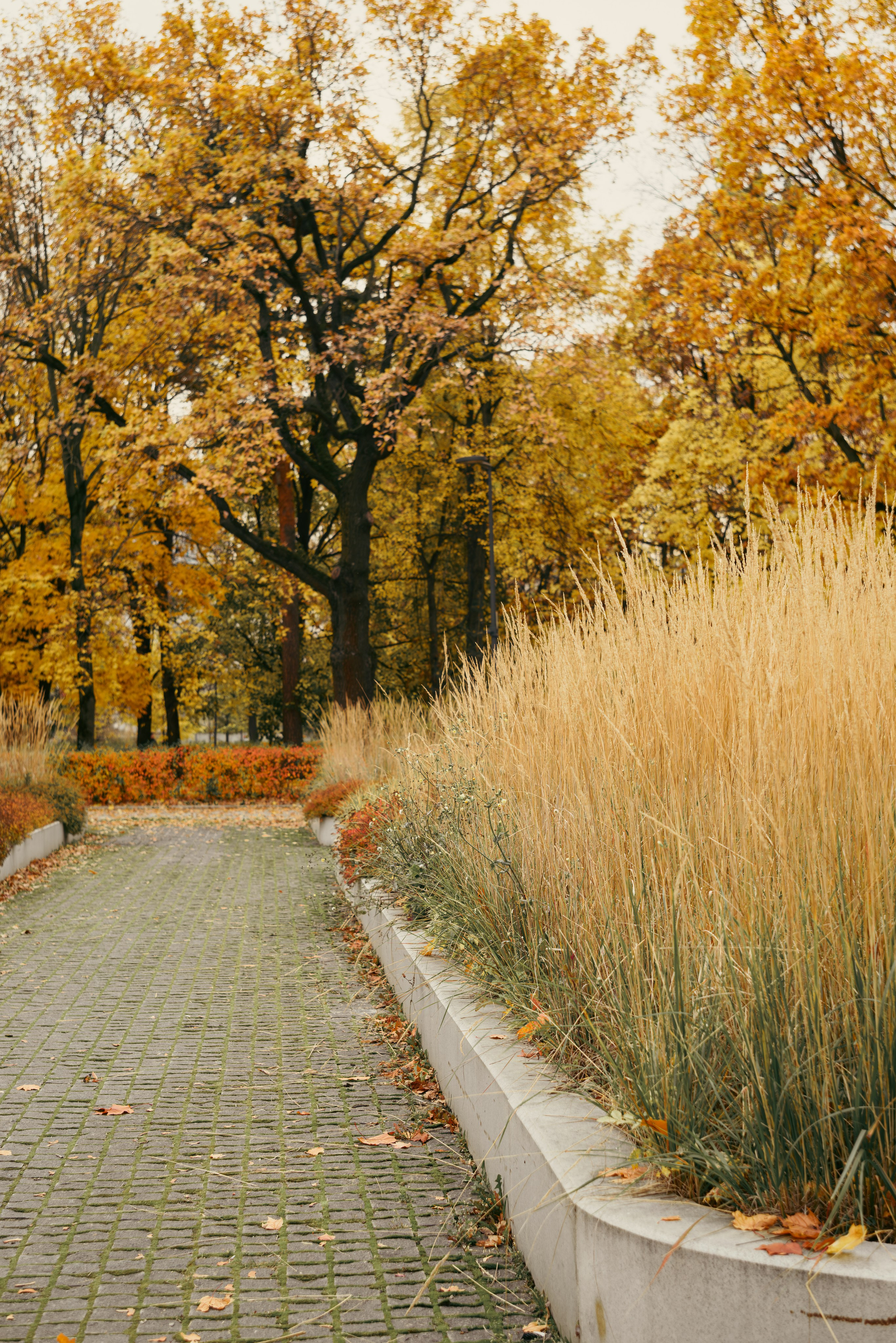 Осенняя Love story. Семейный фотограф г. Москва