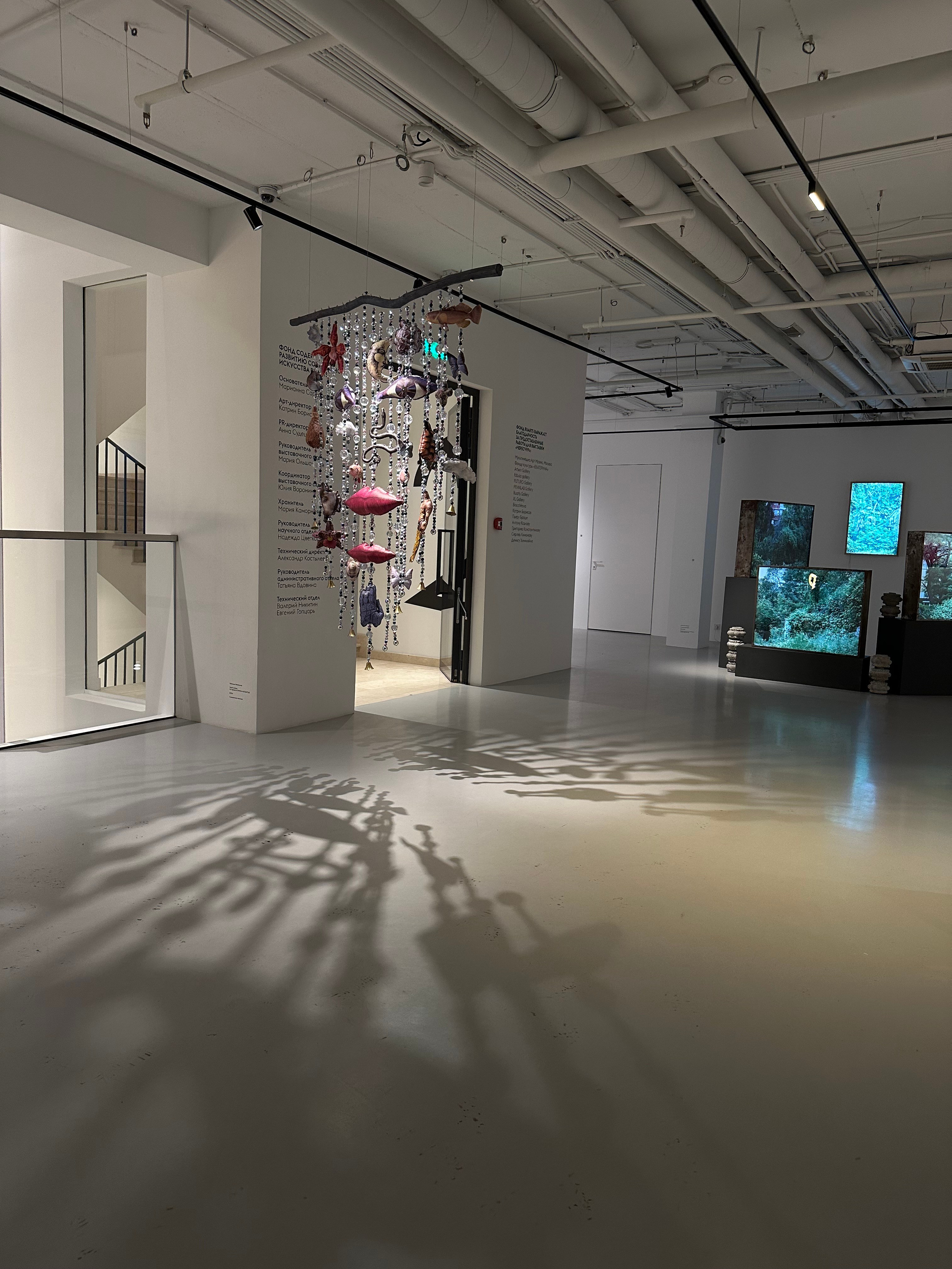 Выставка Чересчур. Фотосессии и репортаж — Фотограф в Москве — Рина Серёгина