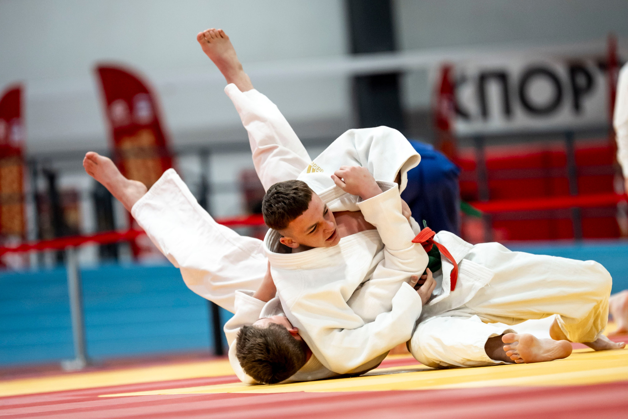 Турнир дзюдо. Тульский левша. Ноябрь, 2025. Спортивный фотограф в Туле и Тульской области. Файсханова Фото Спорт