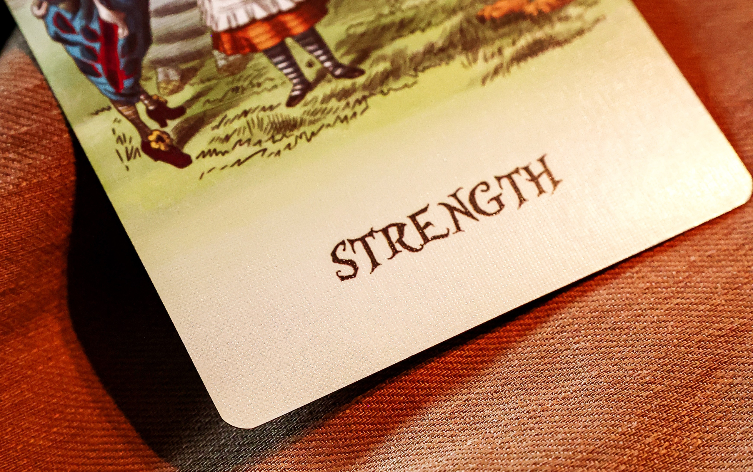 Предметная съемка. Фотограф — Татьяна Кириллова, г. Санкт-Петербург