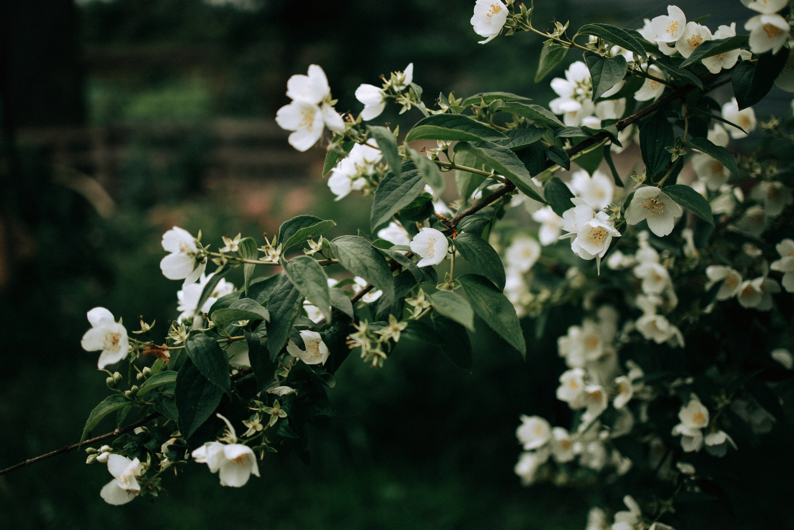Прогулка по Криволучью. Свадебный и семейный фотограф в Туле и области Маша Костина