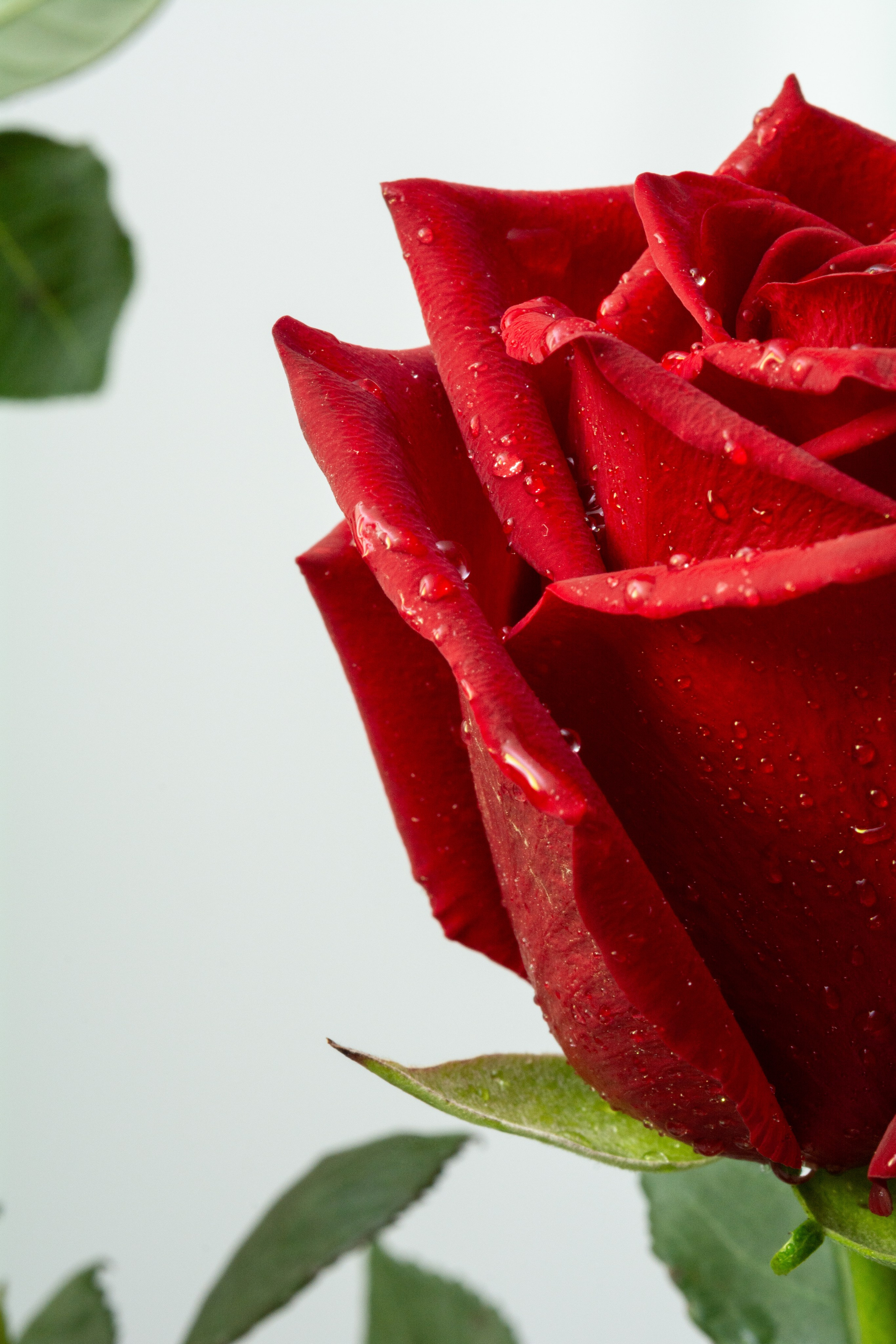 Предметная съемка. Вячеслав Рубцов — фотограф на все случаи жизни в Красноярске