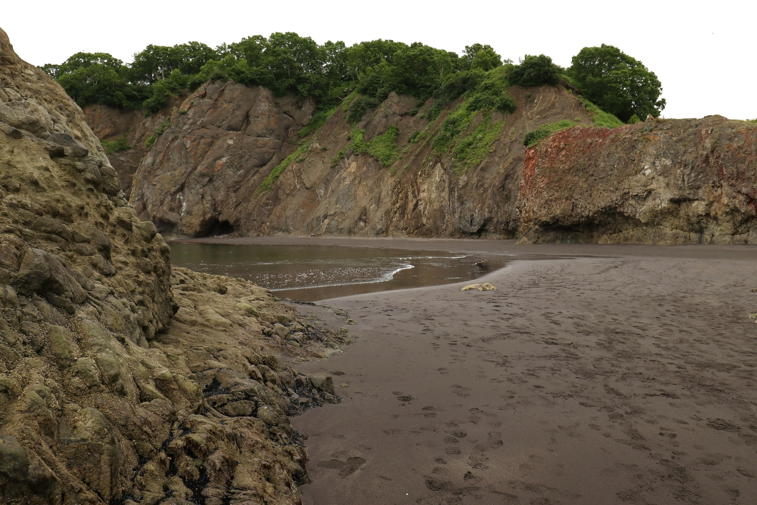 Камчатка и о. Парамушир. Июль 2024. Путешественник-фотограф из Санкт-Петербурга Татьяна Свистулина