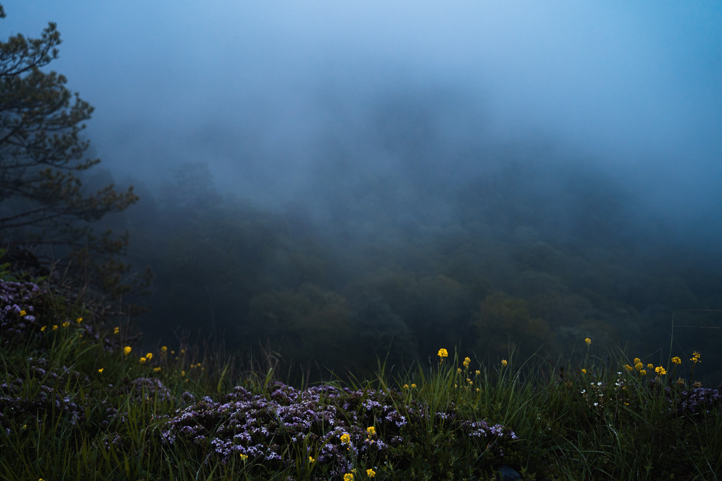 Адыгея. Большой Тхач. Фотограф в поход и восхождение на Эльбрус Игорь Косарев