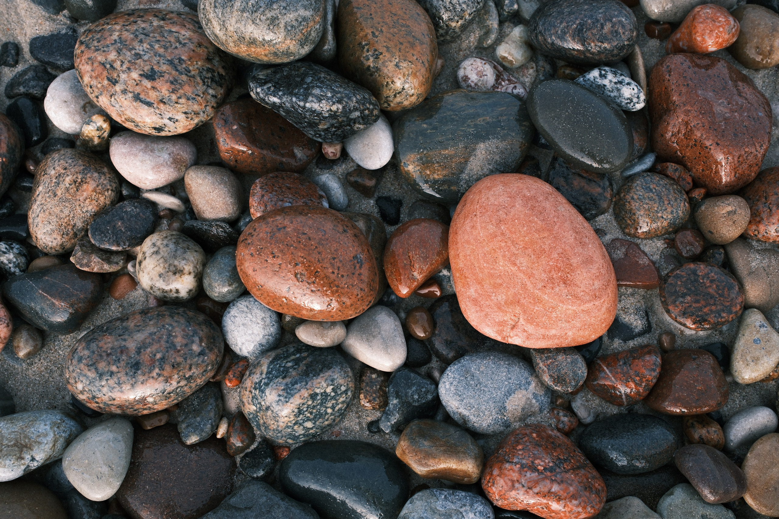 Зеленоградск. Калининградская область. Алексей Торопов фотограф