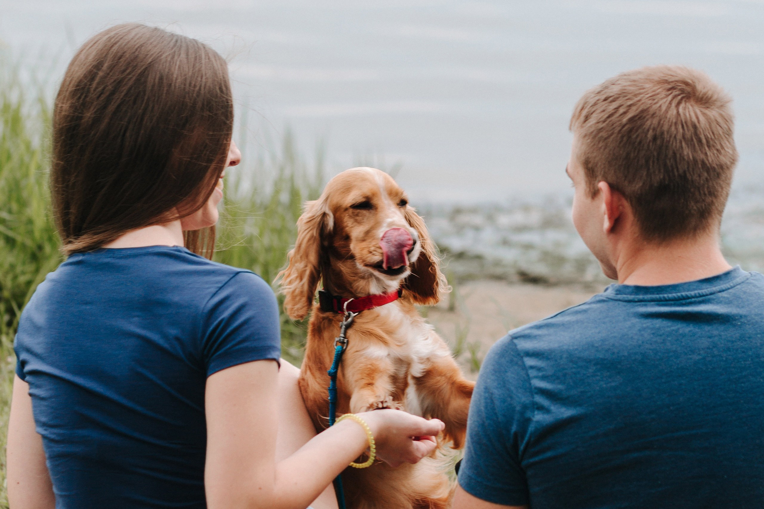 Живи, люби, лай! ;). Семейный и свадебный фотограф в Воронеже Майя Добровольская