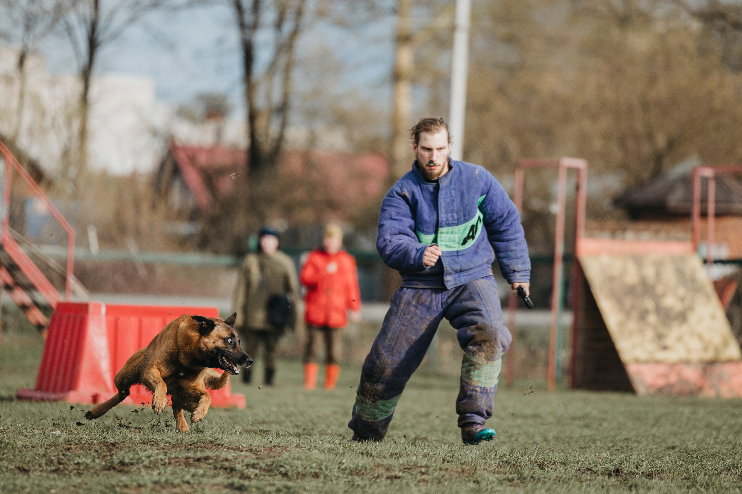 09.05.25 Вологда соревнования. Фотограф-анималист Анна Маринич
