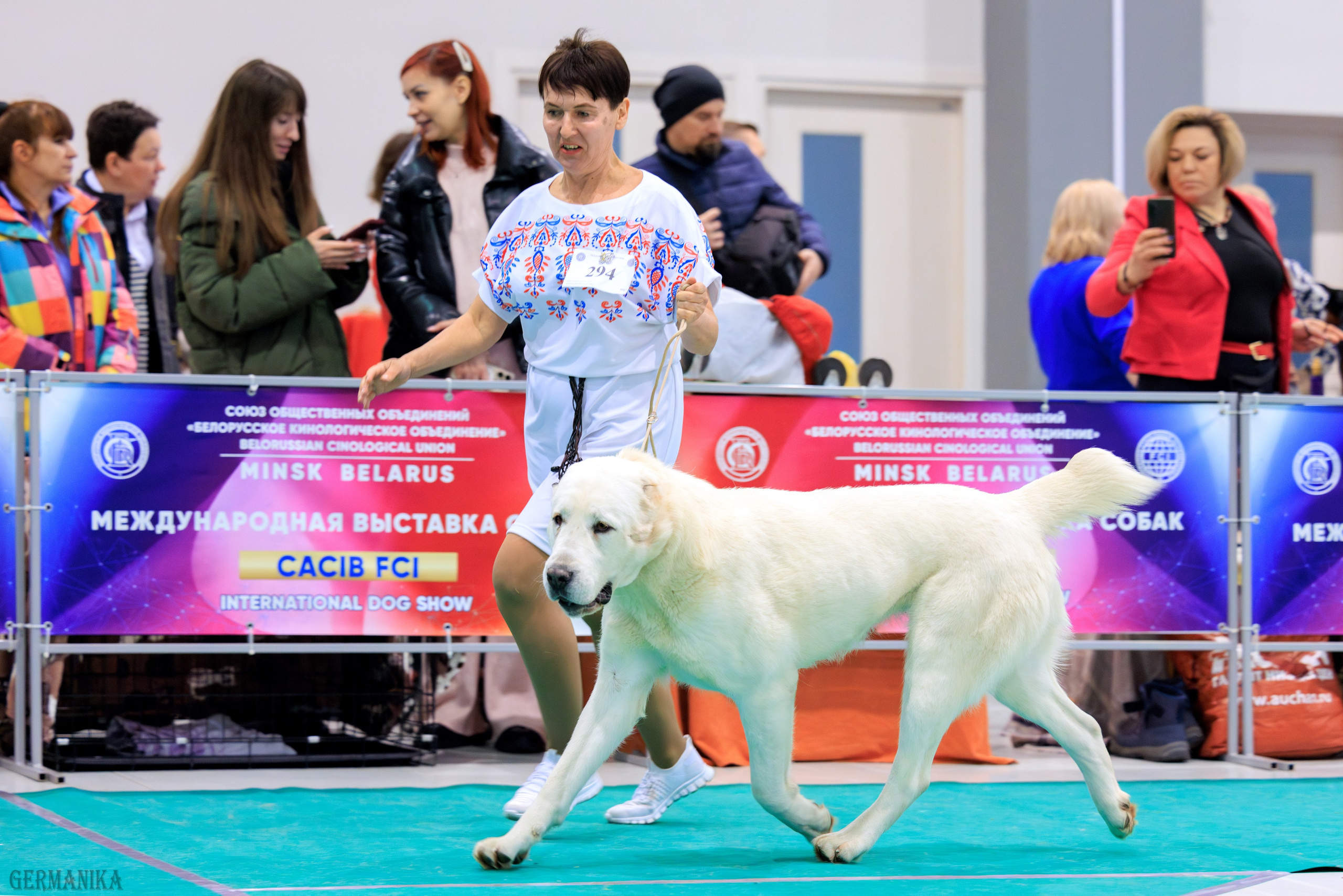 Минск 24-25.02.2024. Фотограф-анималист Юлия Германика