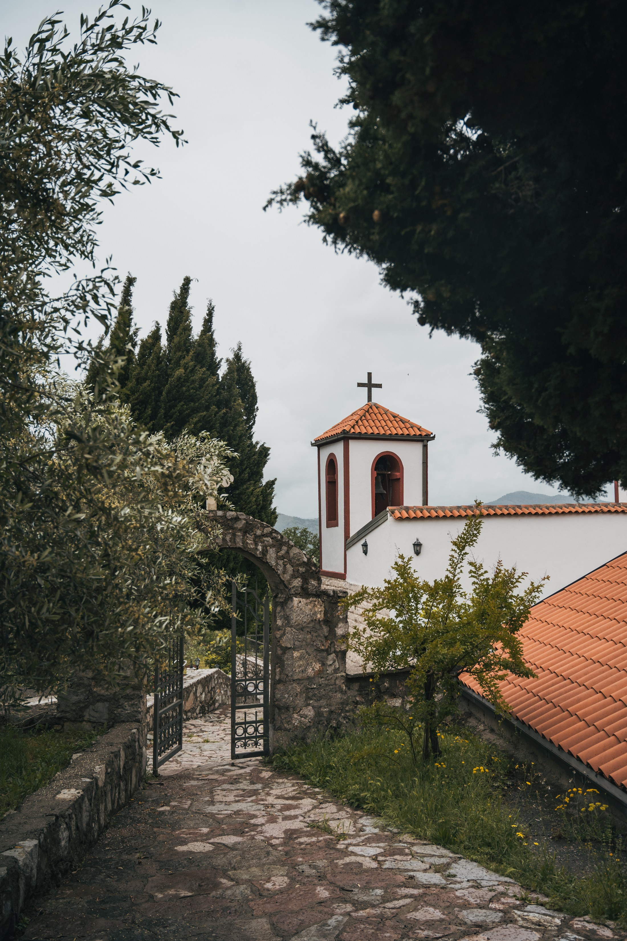 СКАДАРСКОЕ ОЗЕРО. ЧЕРНОГОРИЯ. Фотограф в Белграде Чугреева Елена