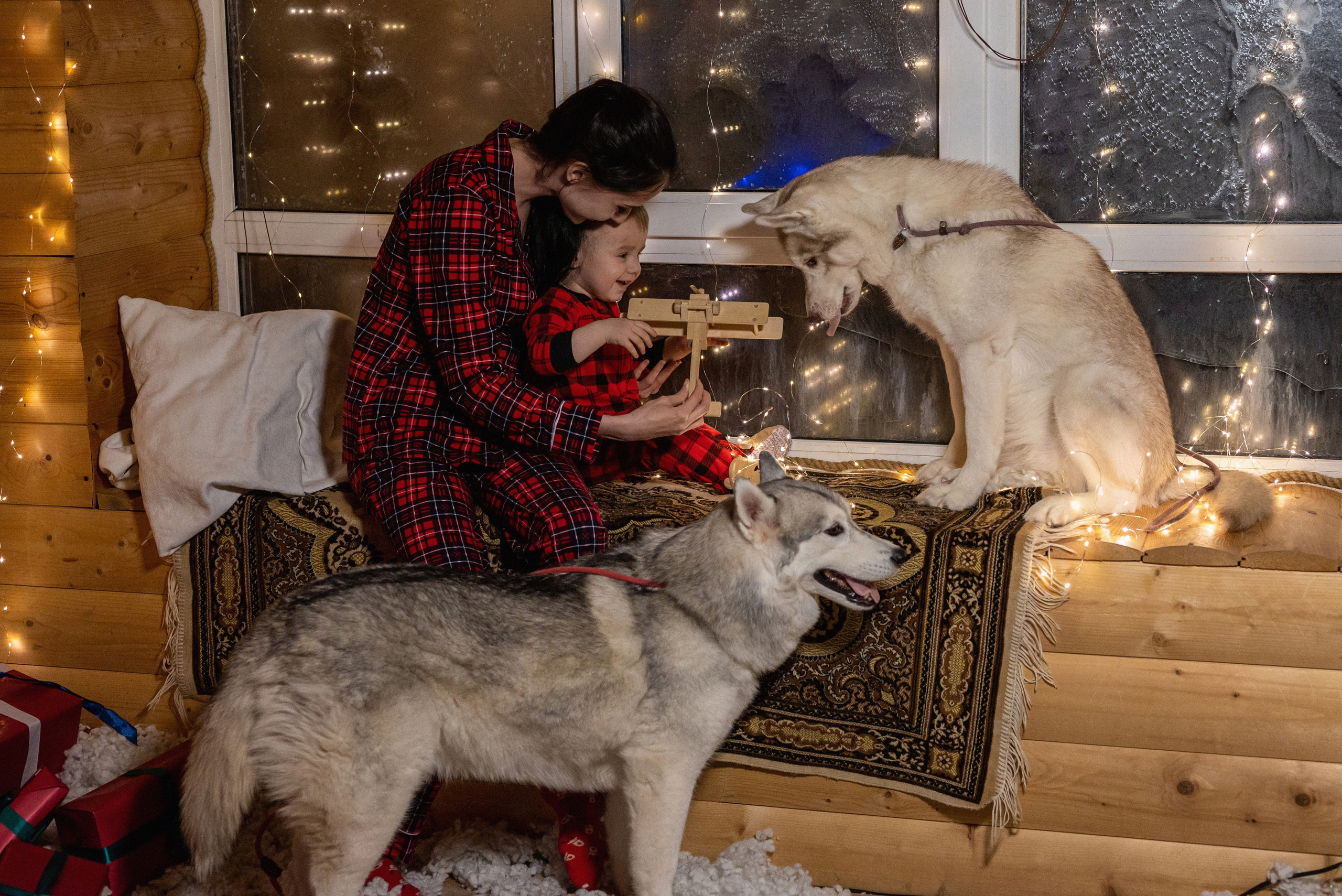 Фотопроект с хаски 2024 г. Фотограф в городе Салават