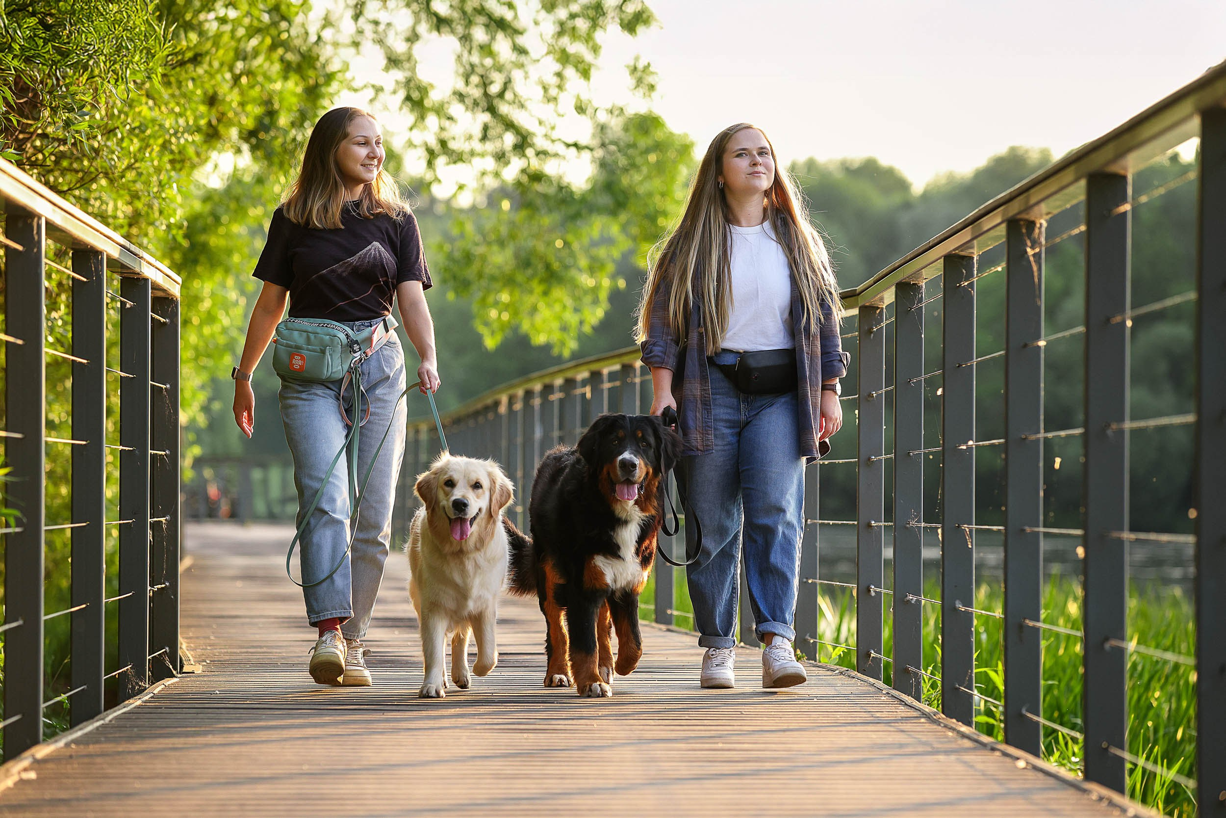 Фотопрогулка для четырех человек с собаками. Фотограф-анималист в Москве и Московской области Татьяна Фролова