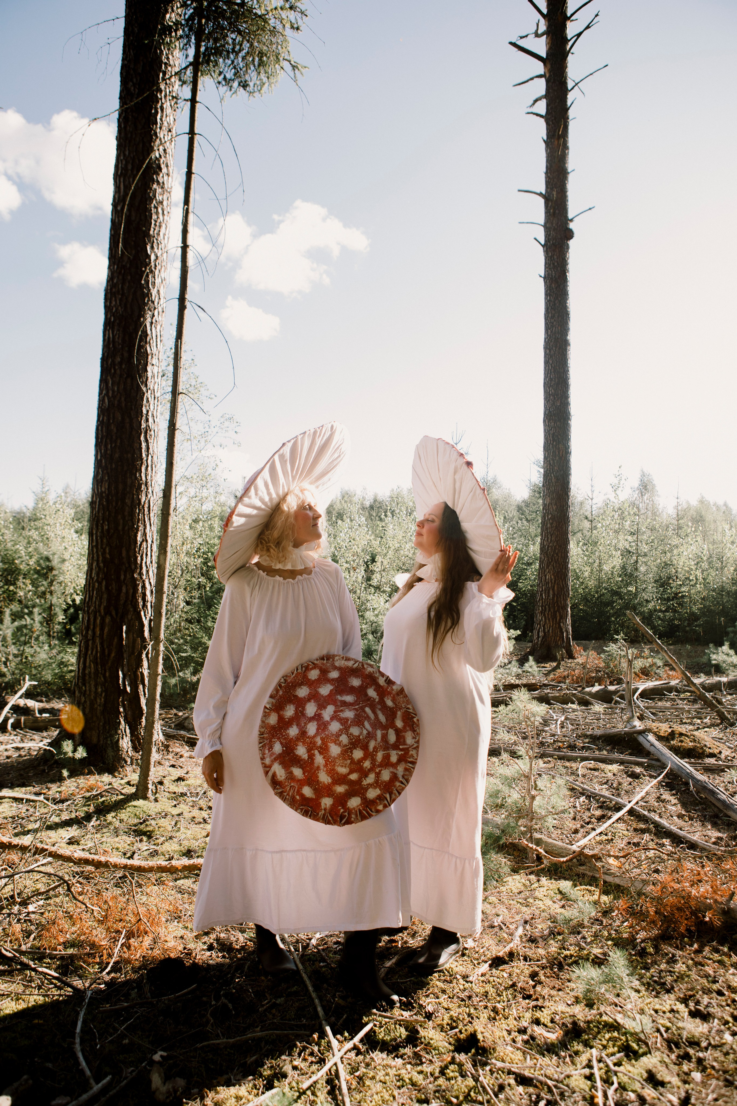 Грибы. Ольга Пилант. АРТ, бэкстейдж, свадебная и семейная фотография, городской портрет, интерьерная фотография