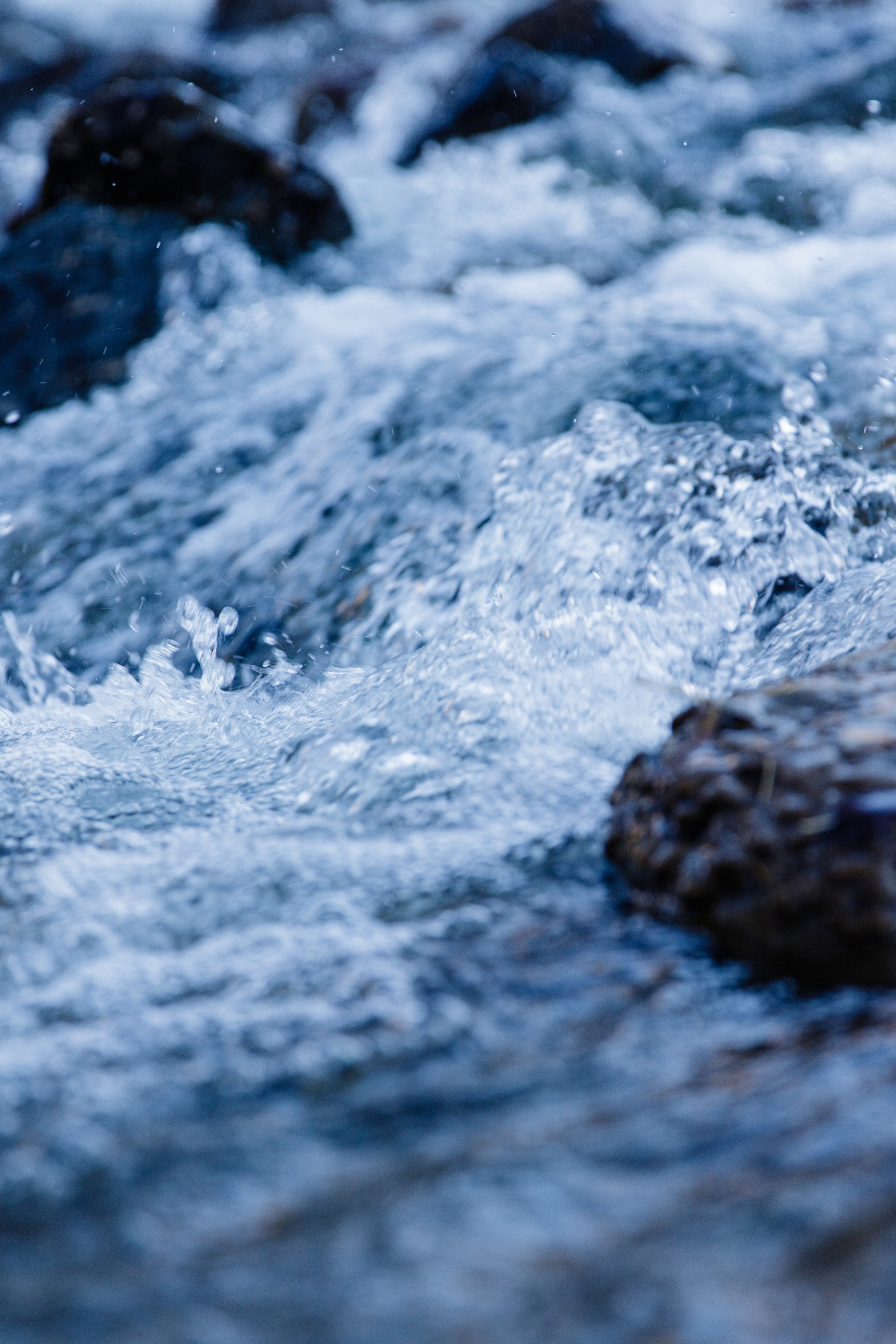 Мой Алтай. Фотограф Кирилл Мешков Кемерово