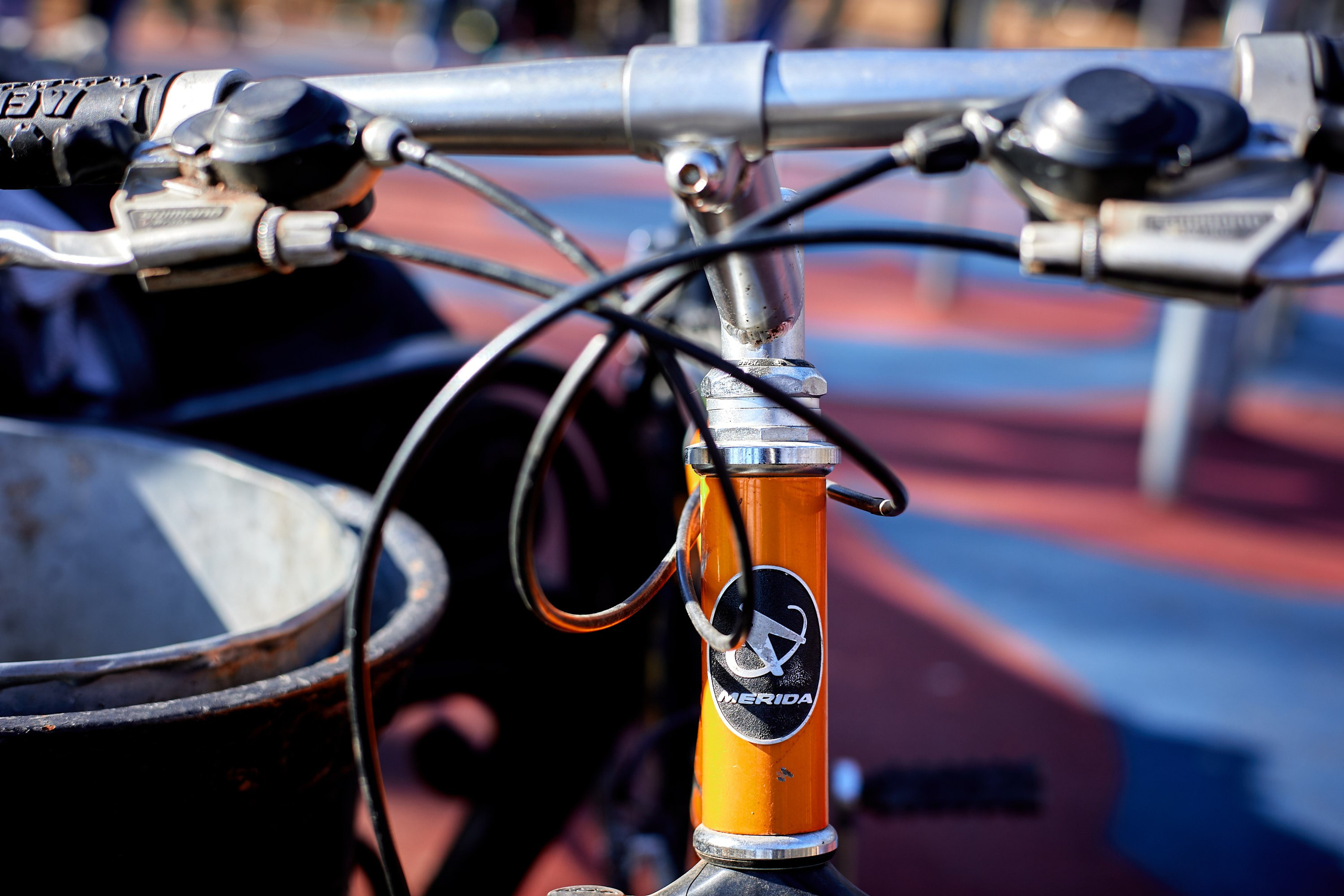 ВДНХ 22.03.2025. Спортивный и репортажный фотограф Андрей Баскаков