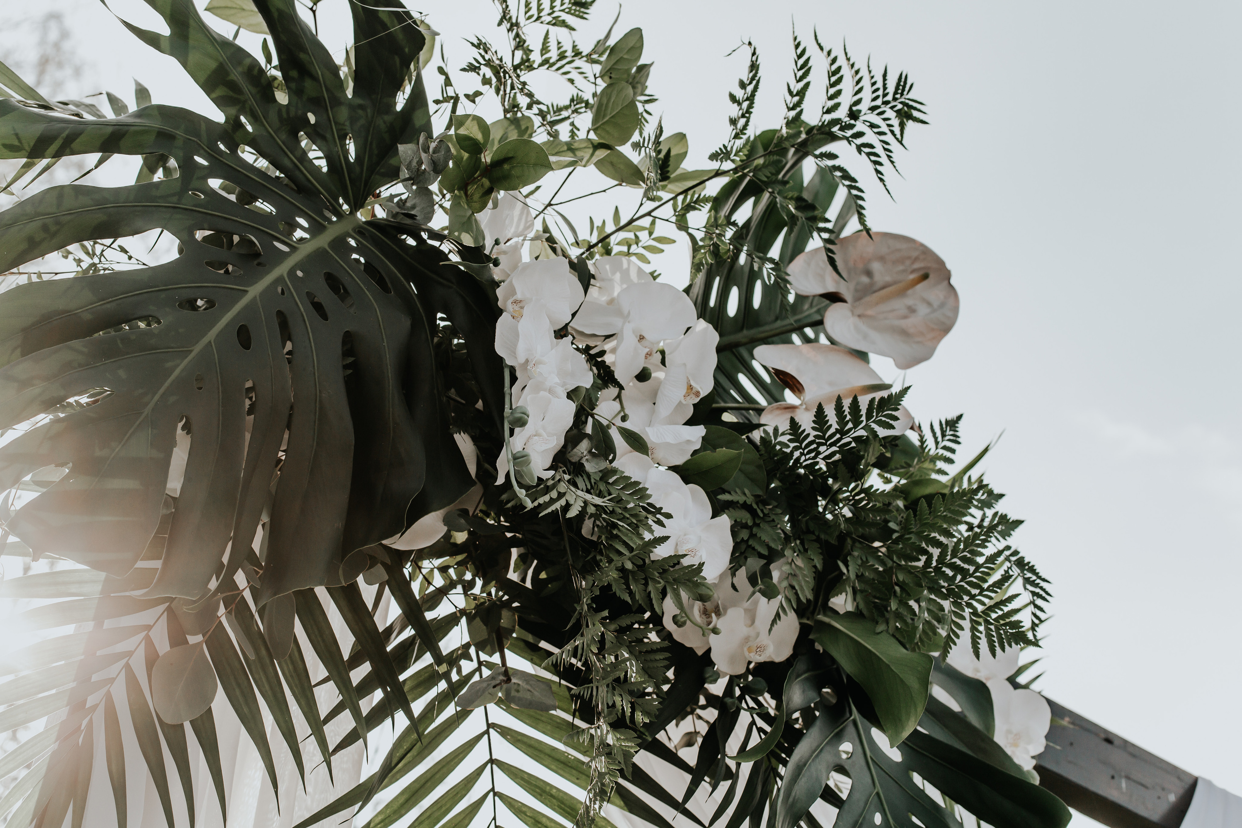 Дмитрий + Кристина. Свадебный фотограф в Витебске Дмитрий Кувшинов