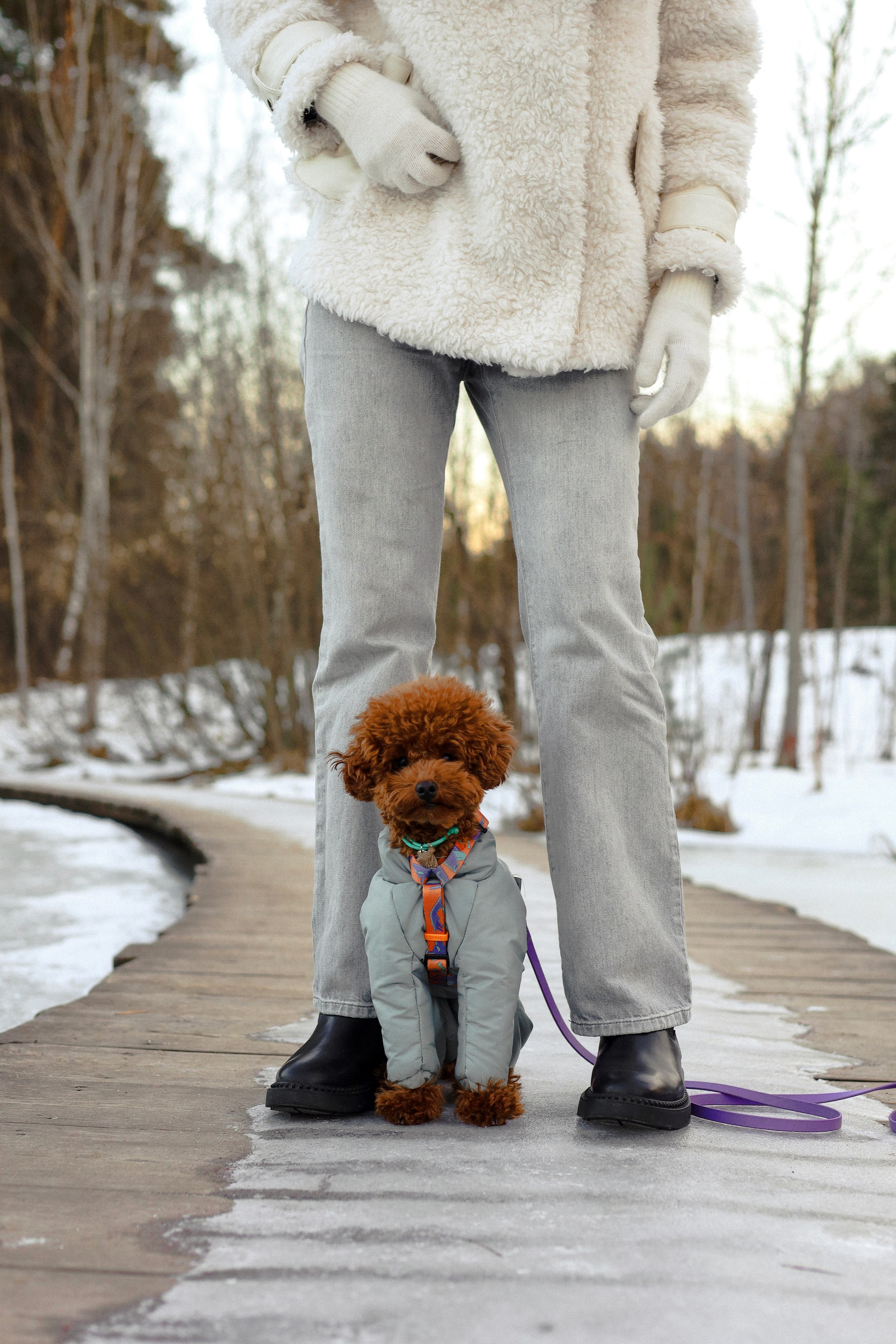 Филипп и Настя. Фотограф-анималист Ксения Шевцова|Москва