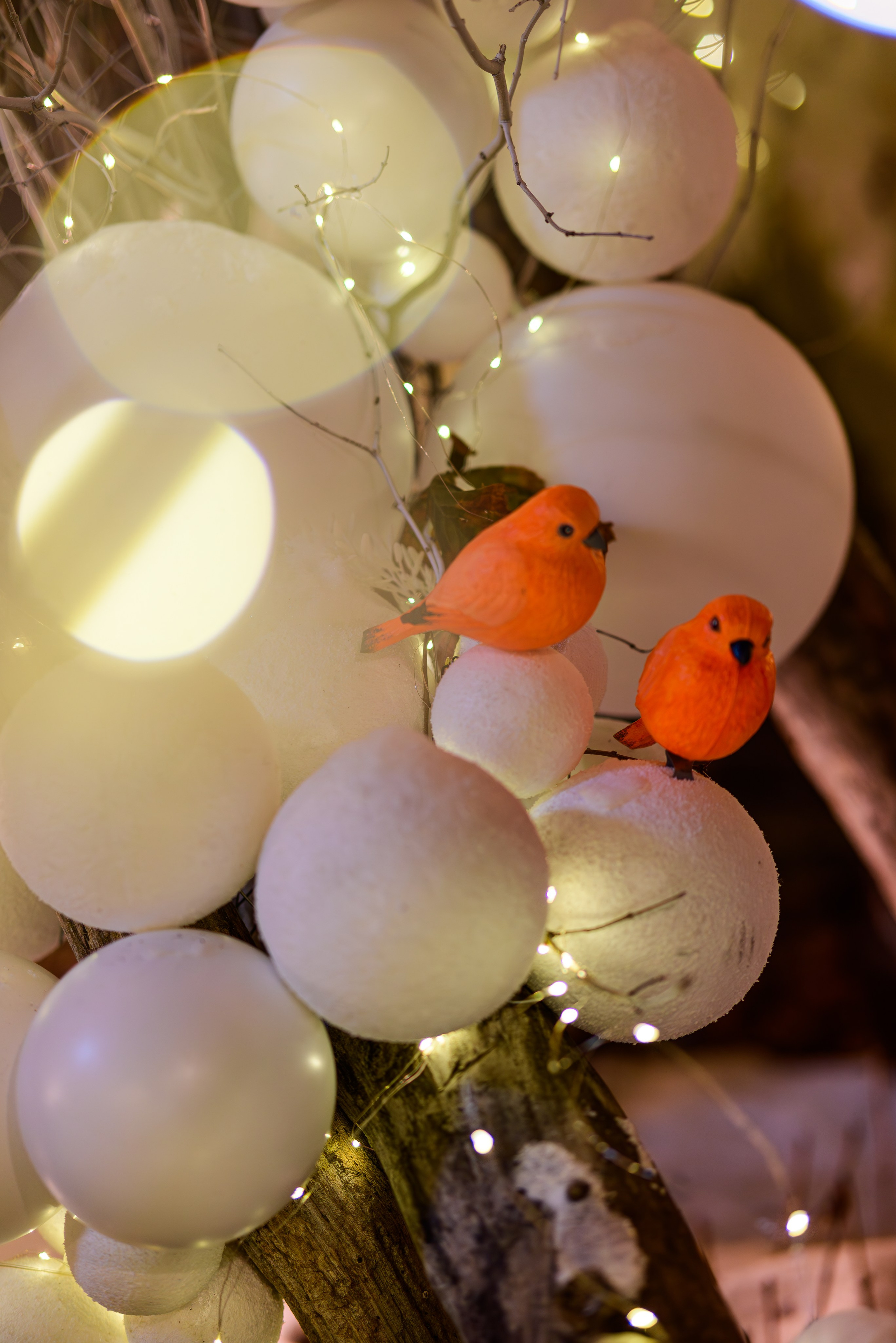 Зимняя Калининградская область. Фотосъемка и видеосъемка в Калининграде Liveemotion.pro