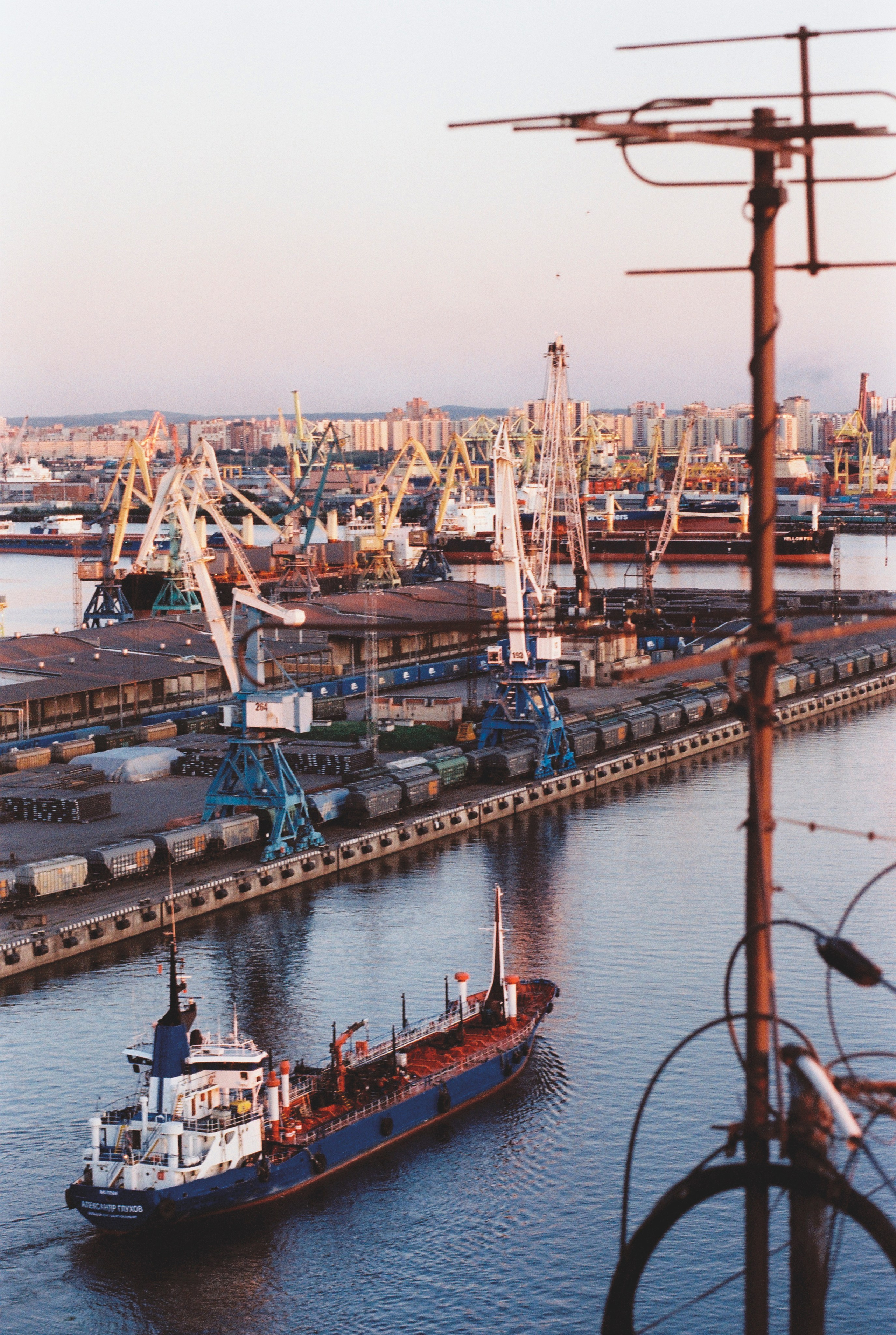 Фотографии цветные. Свадебный и семейный пленочный фотограф в Петербурге Истомина Ирина