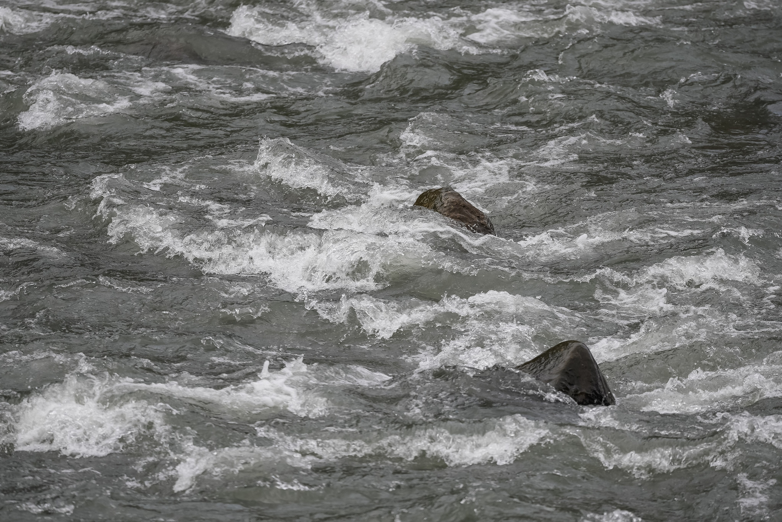 Роскомнадзор | Radisson Rosa Khutor. Репортажный фотограф | Роза Хутор Красная Поляна Сочи Сириус