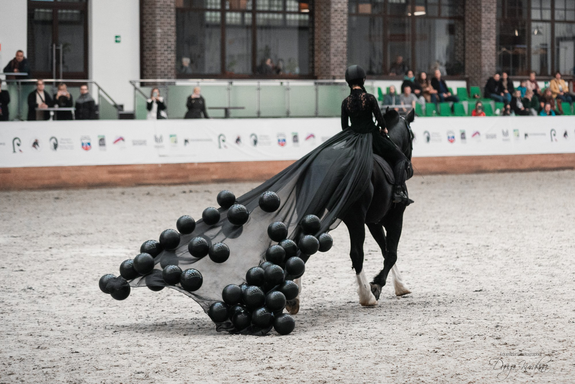 8-я международная выставка Конная Россия. Конный фотограф Куракина Дарья • Фотосессии с лошадьми