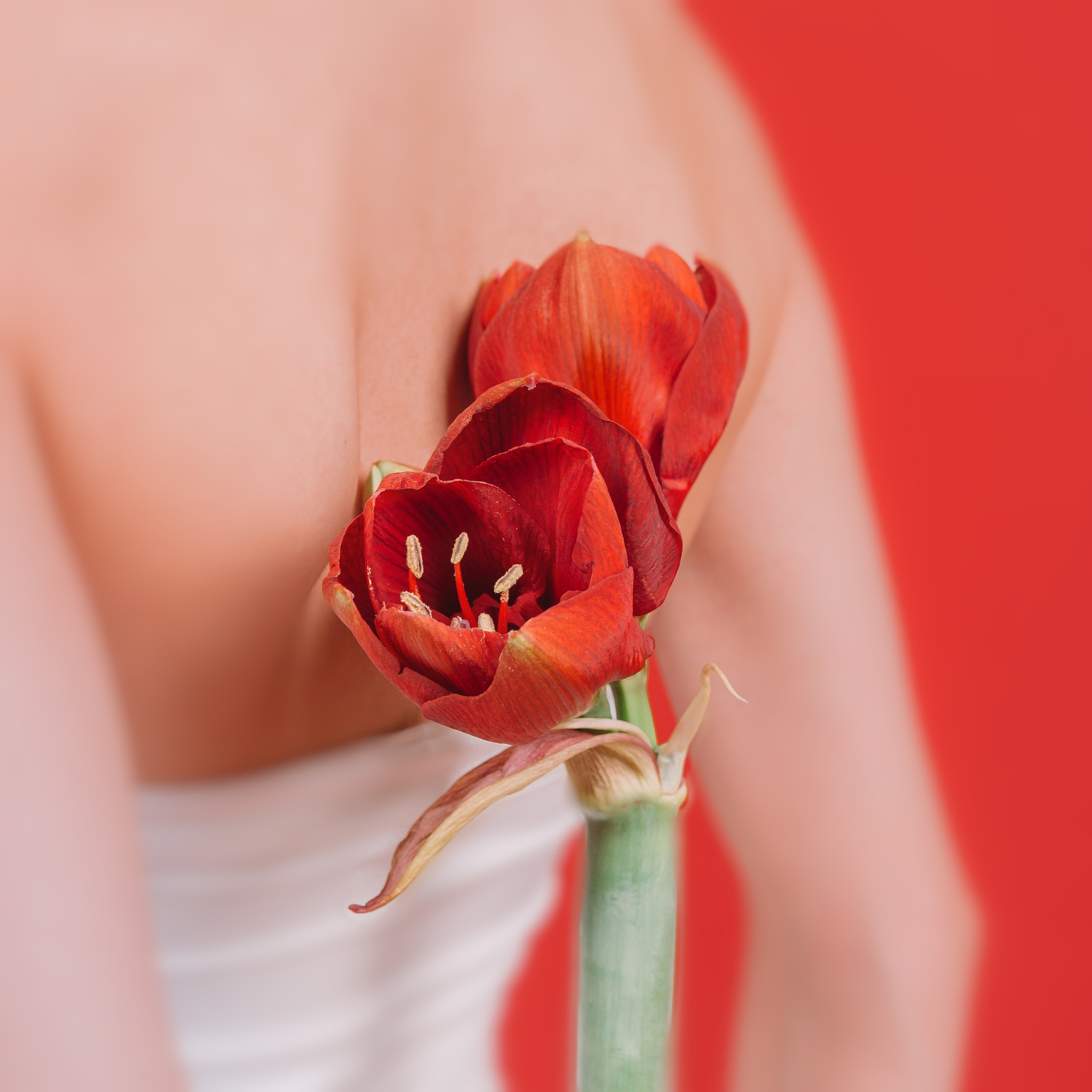 Творческая фотосессия в стиле beauty. Фотограф в Москве Виталий Мишкин