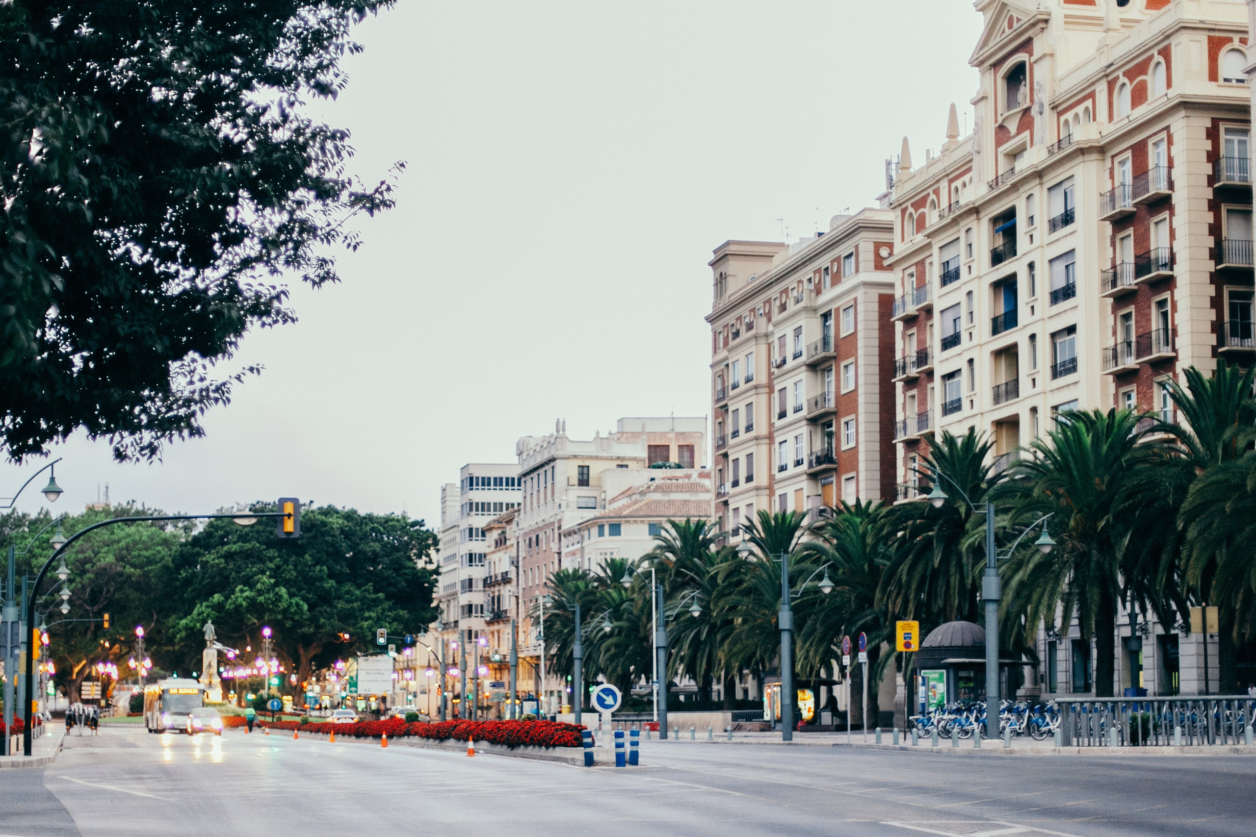 Малага. Аня Степанова