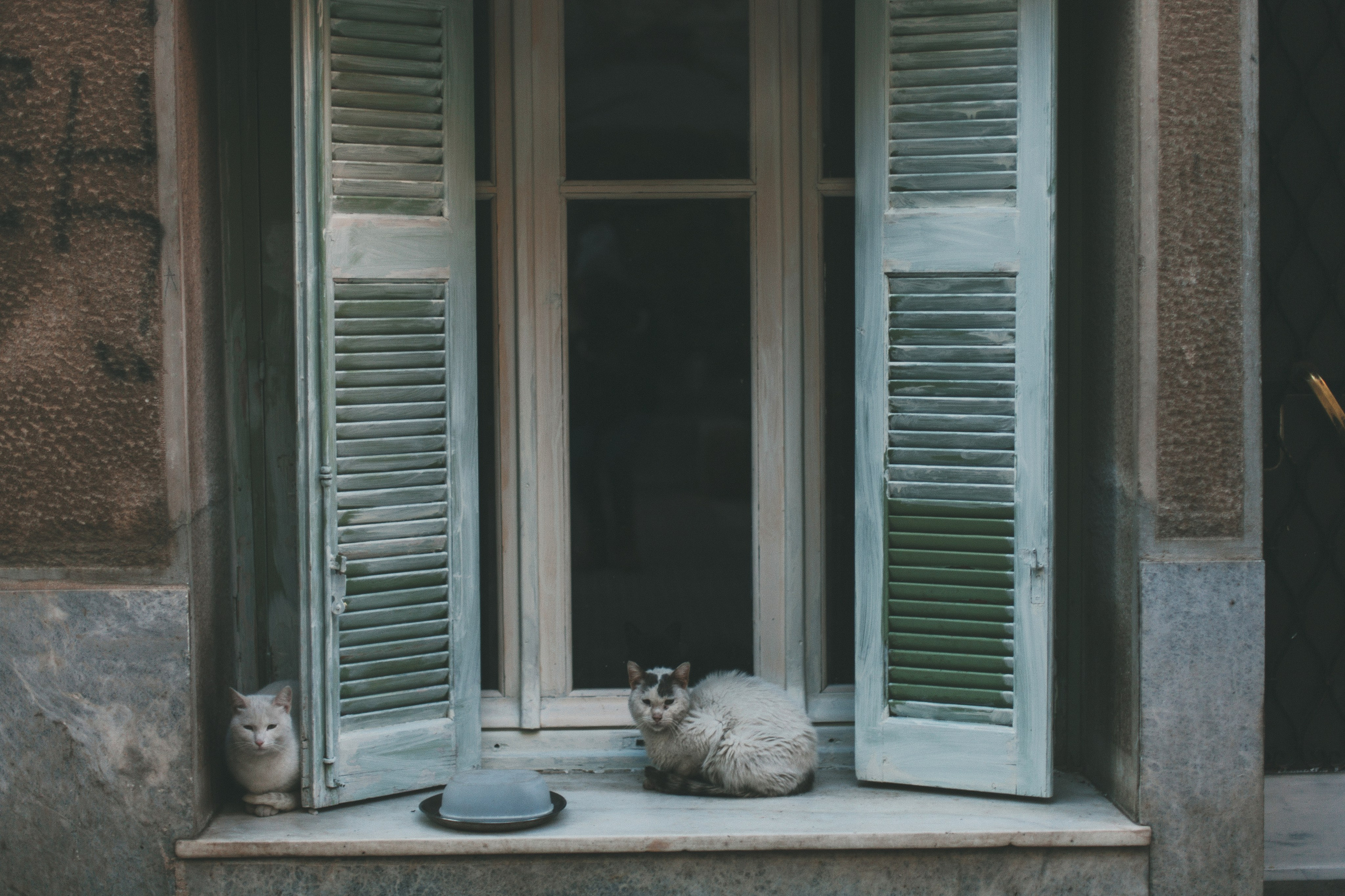 Афины. Аня Степанова