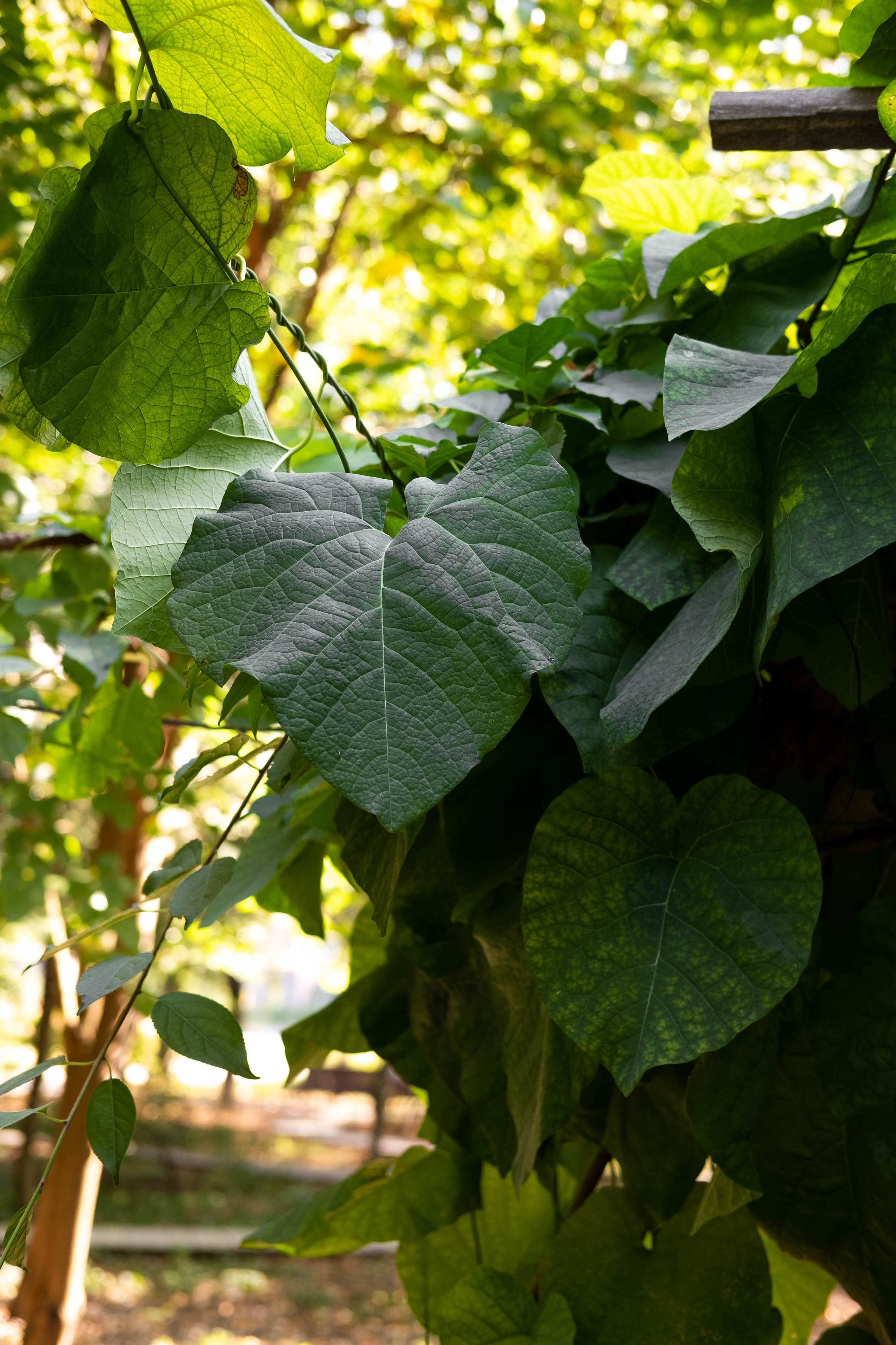 Москва 2024. Свадебный и семейный фотограф в Новосибирске, Санкт-Петербурге, Москве