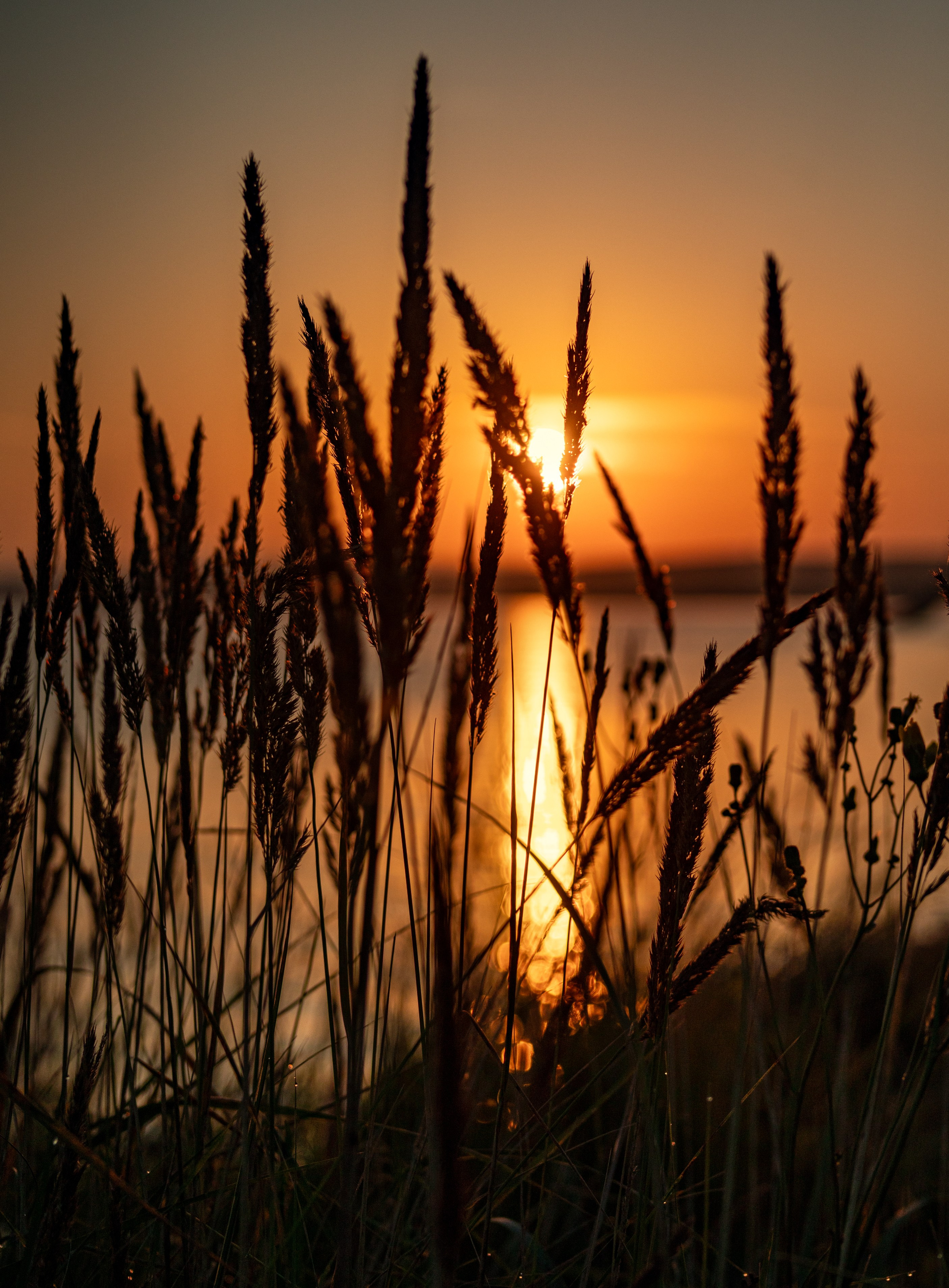 Пейзажная съемка. Фотограф в Саяногорске, Абакане Владимир Воробьев