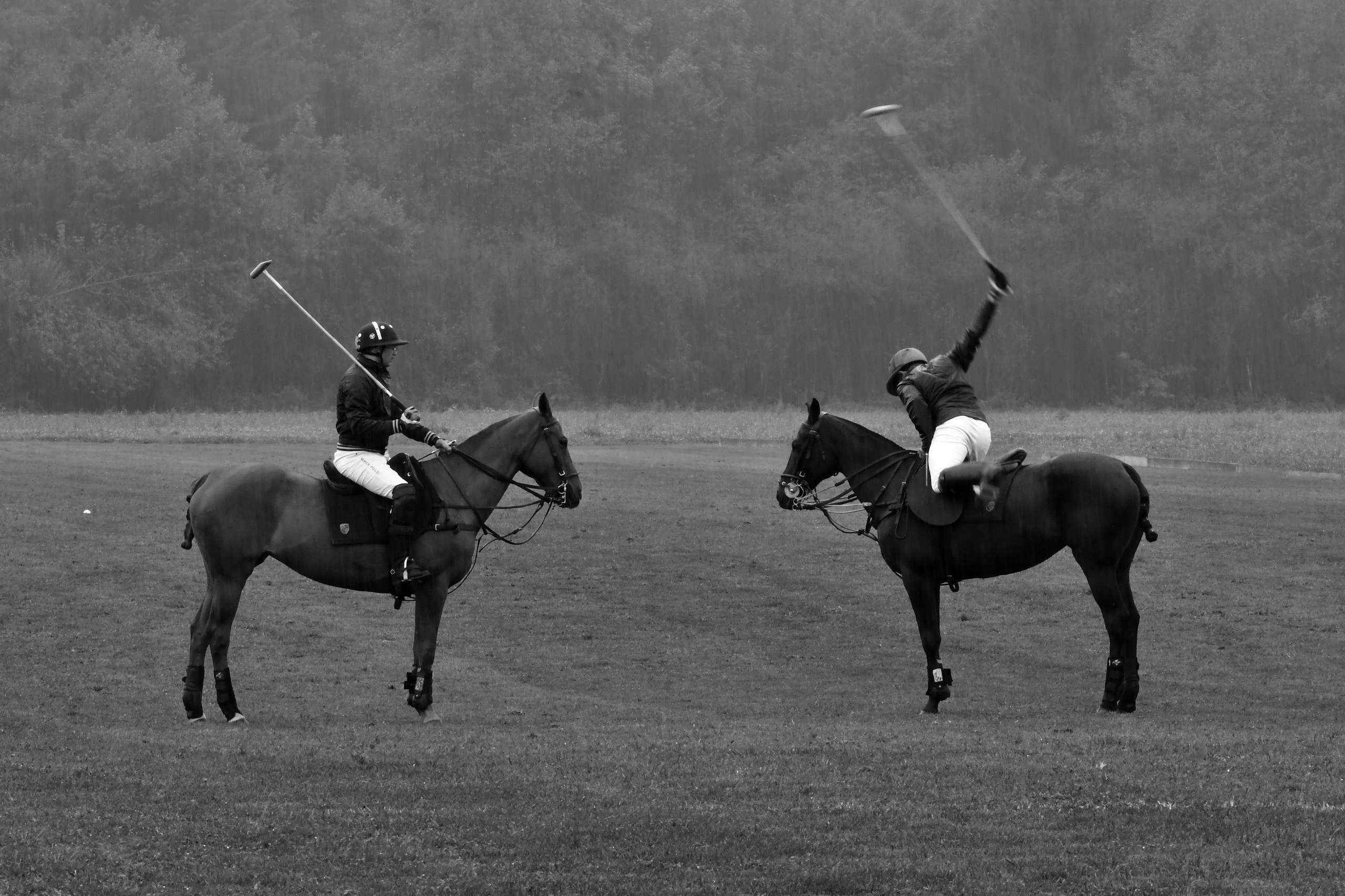 Polo art photos. Art photos of horses — ARTUR BABOEV | Photographer
