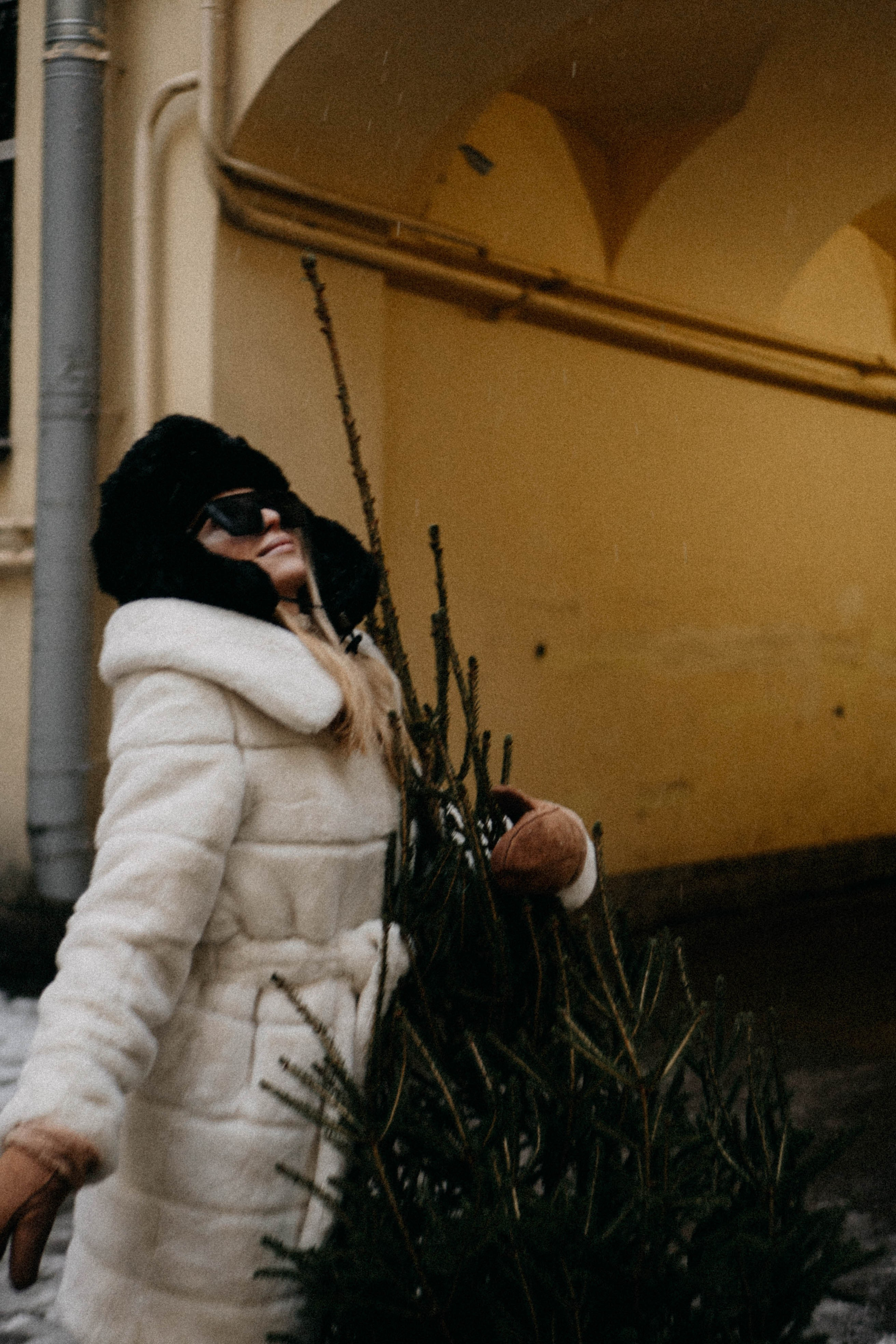 Новогодняя. Профессиональный фотограф, Санкт-Петербург — Виктория Богомолова