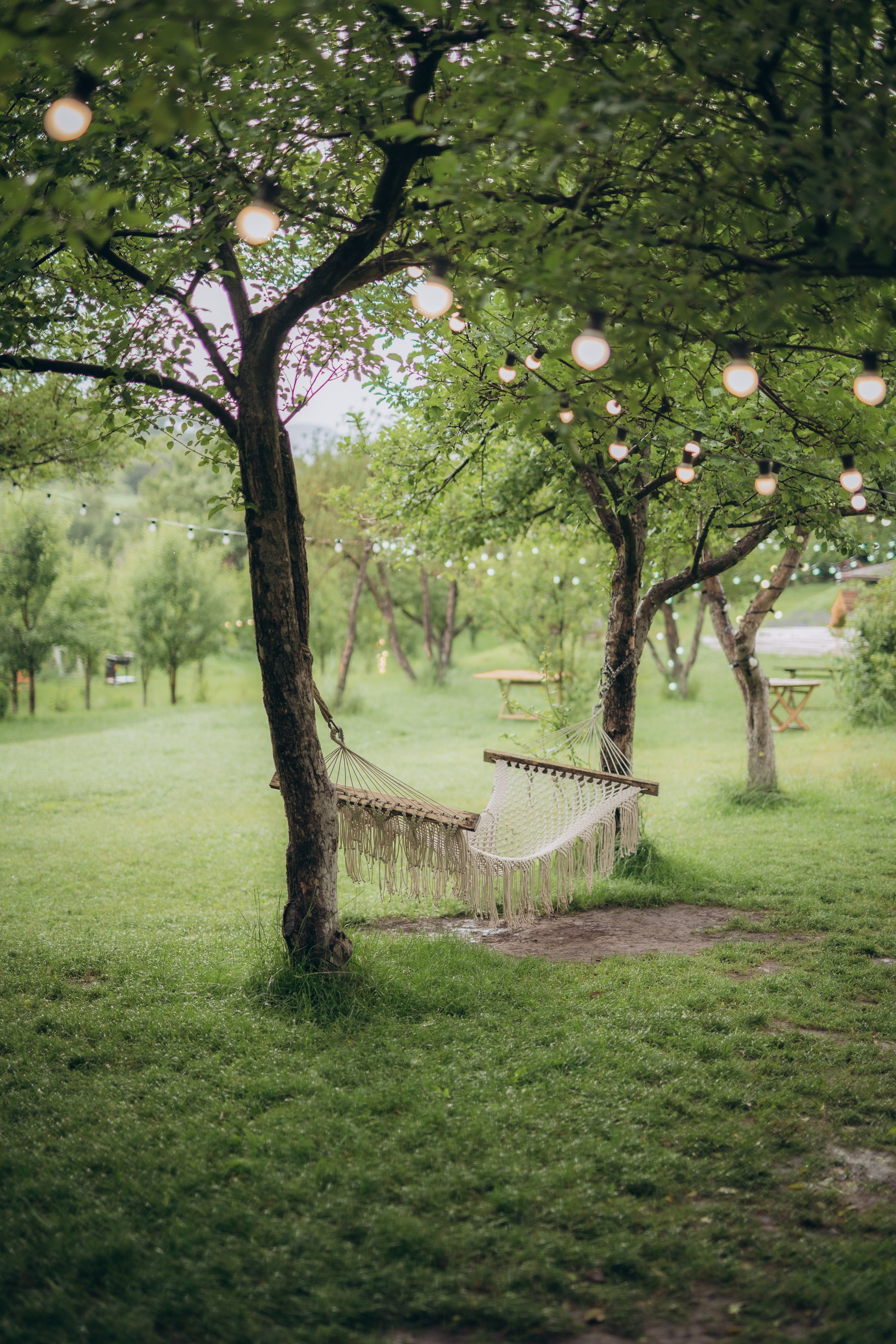 Мероприятие Redcrow. Фотограф в Алматы Чалова Нафиса