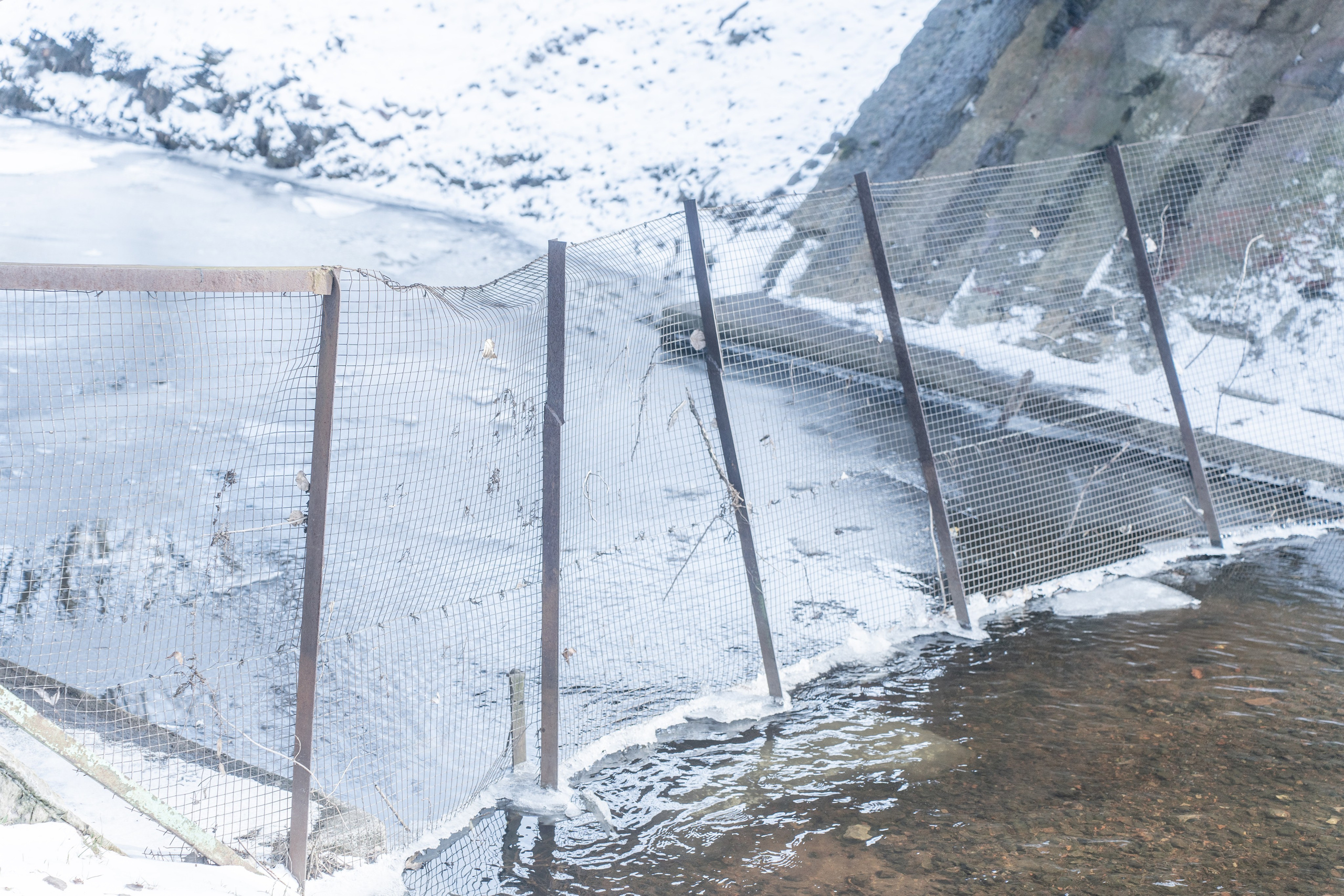 Фотографии. Ксения Доможилова