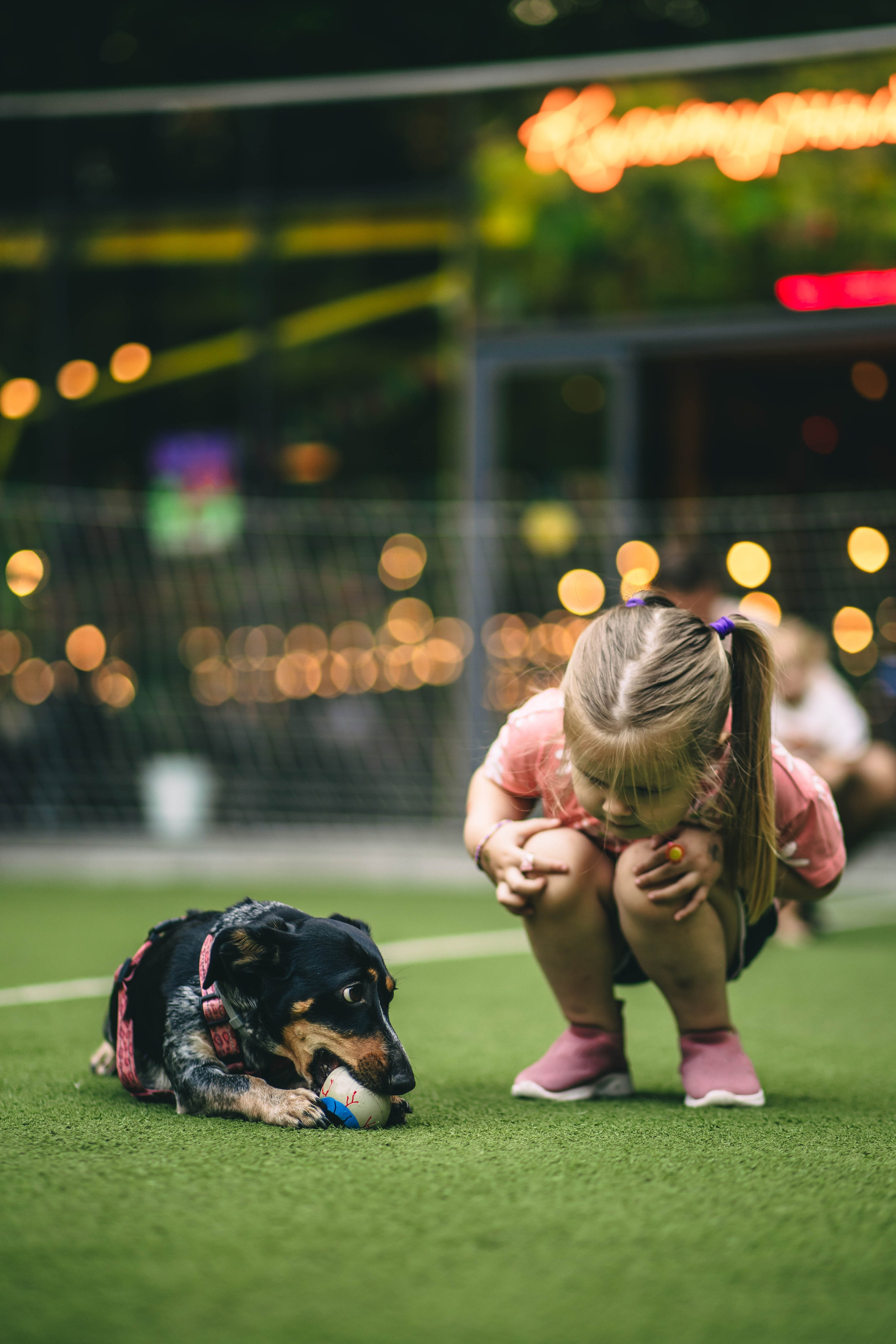 Pet-Party + Live-music |Парк Культуры. Фотограф в Ставрополе Алина Клочкова