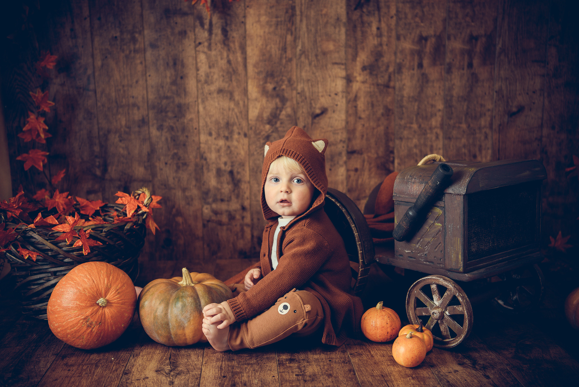 осенний фотопроект, детский фотопроект, детская фотосессия в москве, съемка в студии, детская фотостудия, семейный фотопроект, семейная фотосессия, фотограф москва, детский фотограф москва