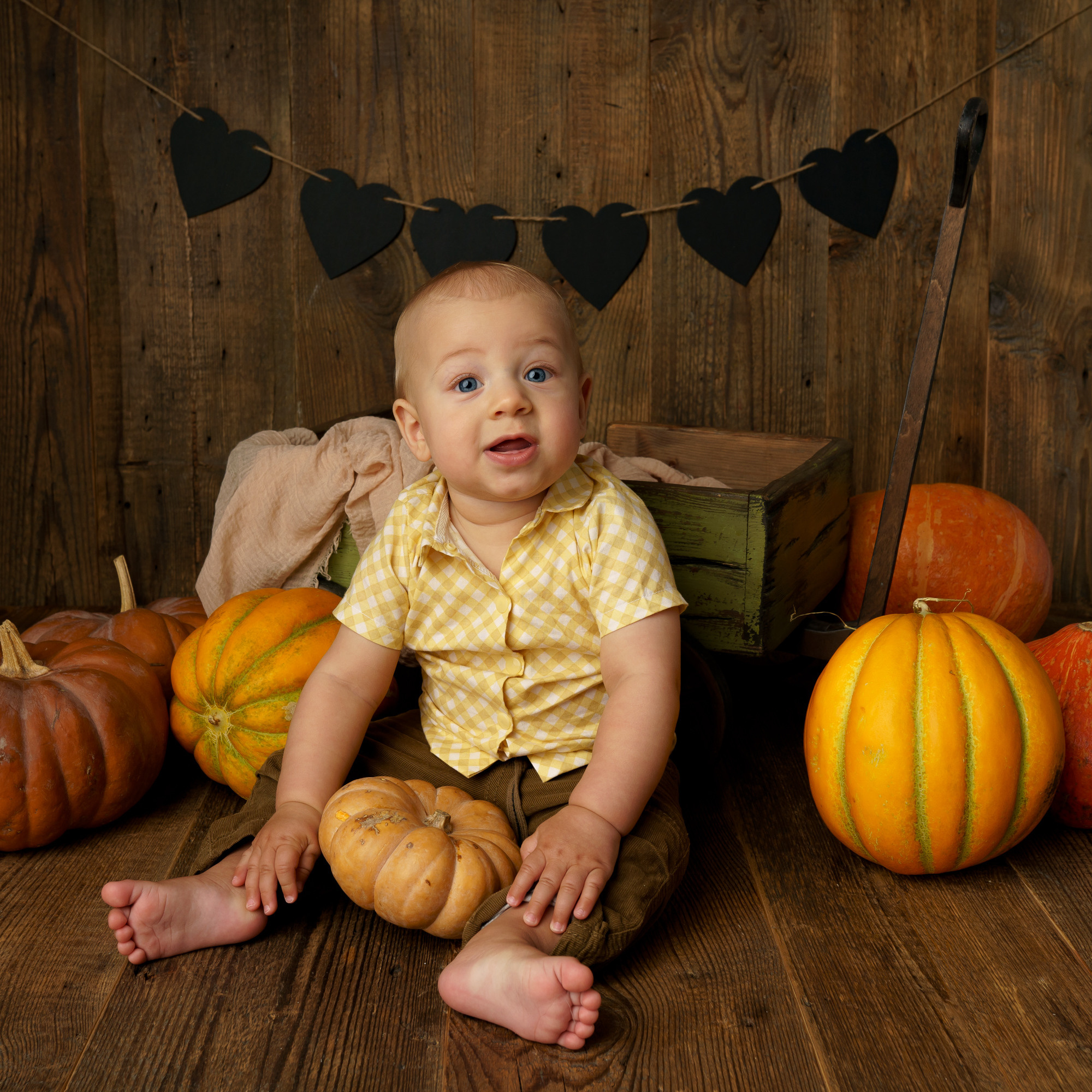 осенний фотопроект, детский фотопроект, детская фотосессия в москве, съемка в студии, детская фотостудия, семейный фотопроект, семейная фотосессия, фотограф москва, детский фотограф москва