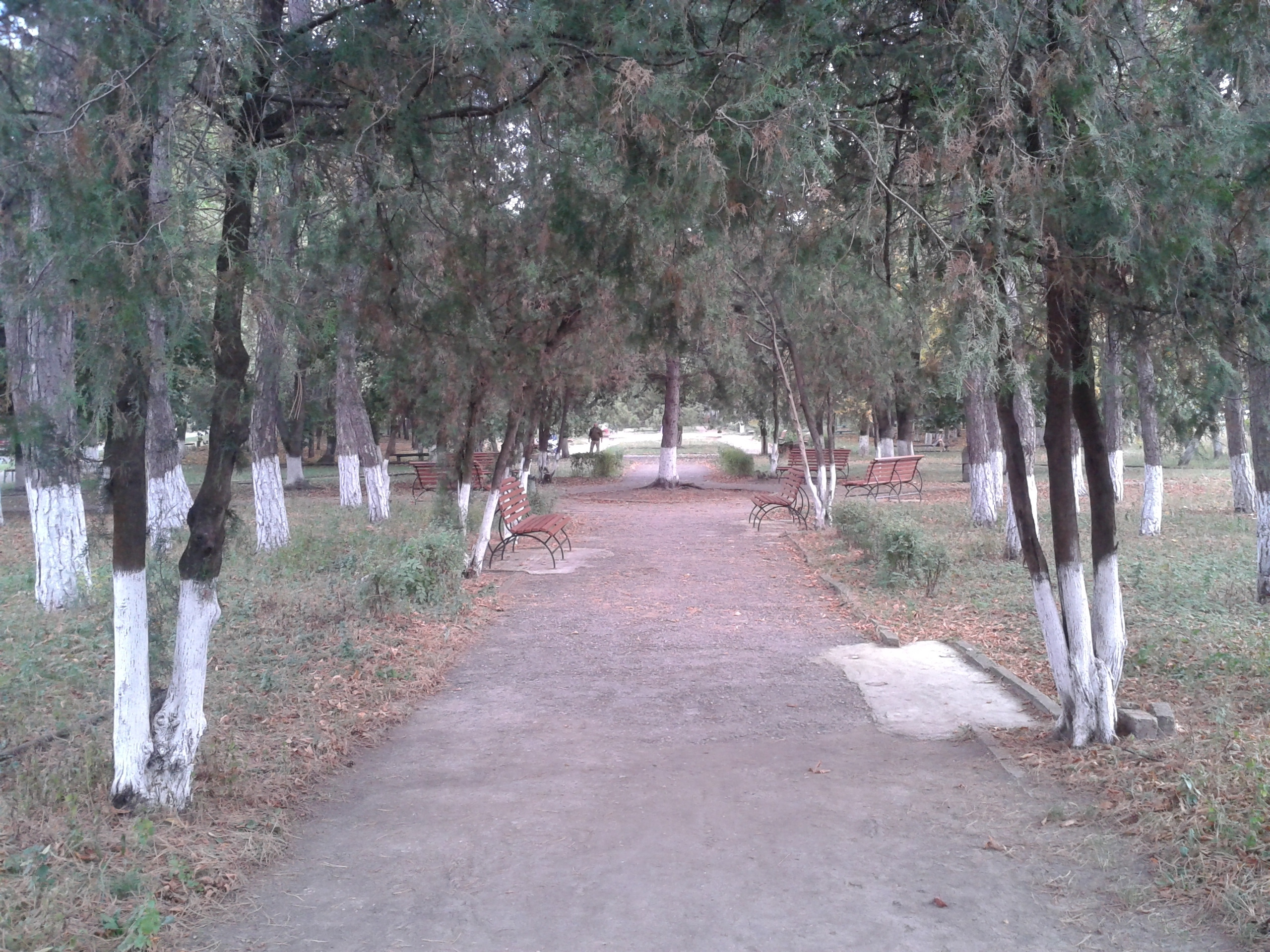 Лермонтовский сквер. Фотоальбом истории города Лермонтов