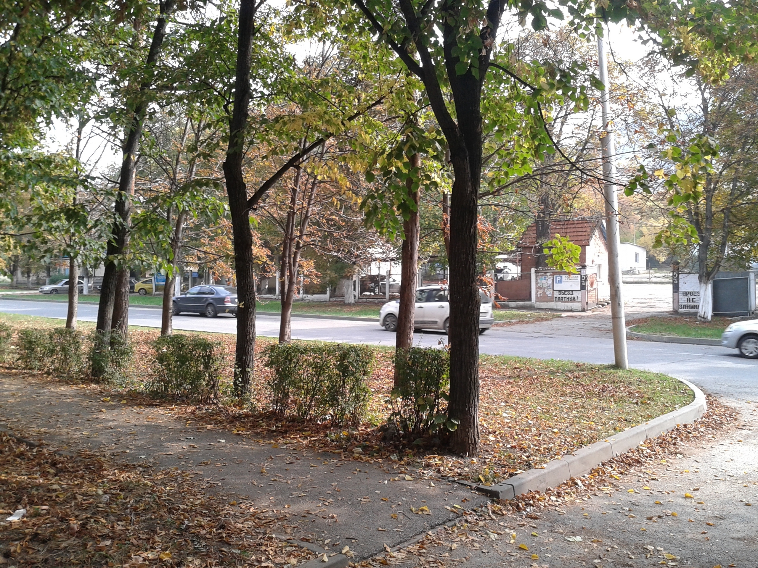 Улица Пятигорская. Фотоальбом истории города Лермонтов