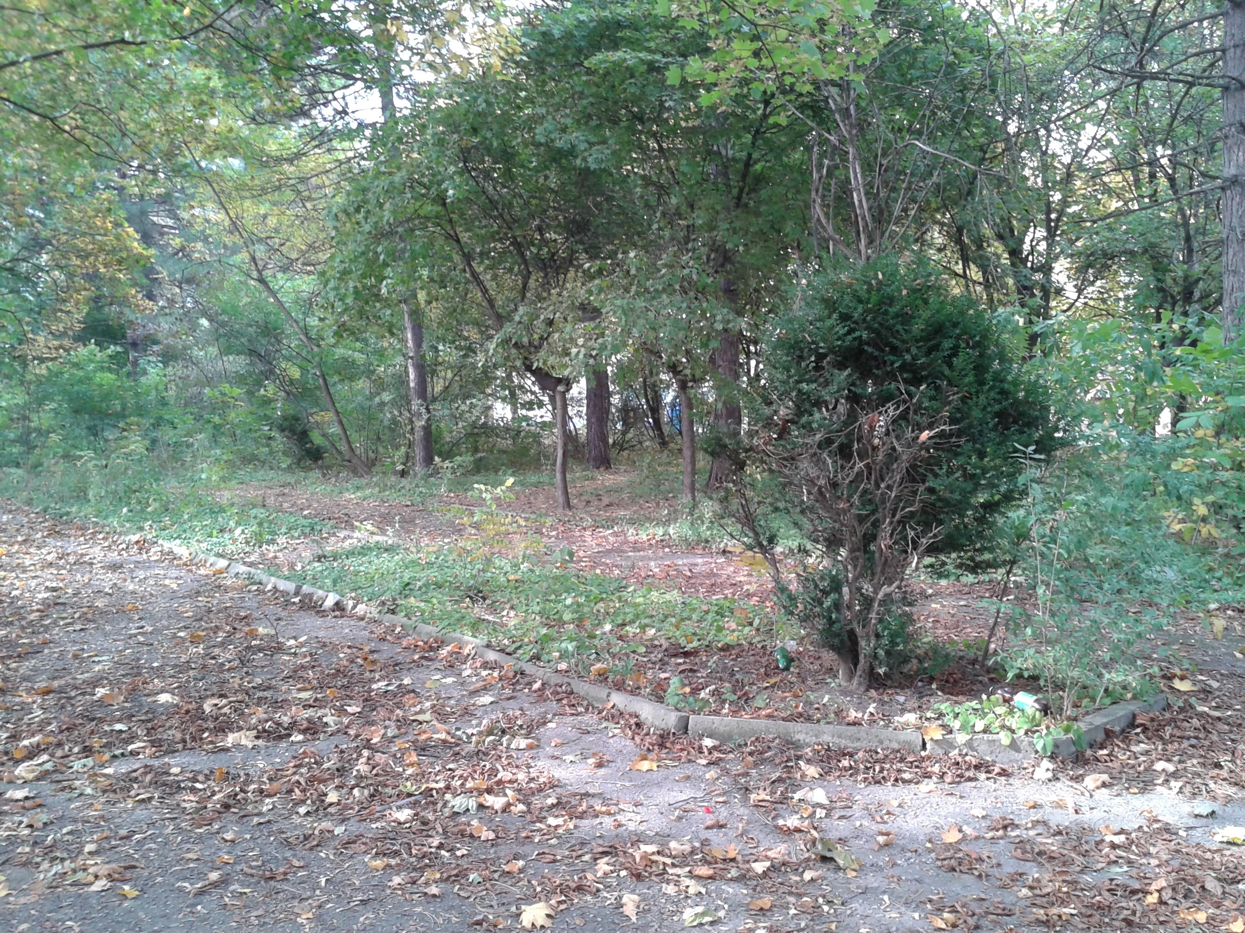 Улица Пятигорская. Фотоальбом истории города Лермонтов