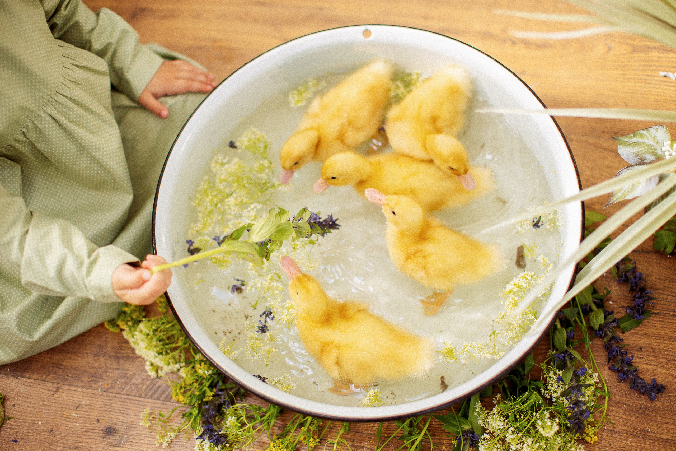 Пасха в стиле «Прованс», мама и дочки. Семейный и детский фотограф в Краснодаре Анна Трашкова