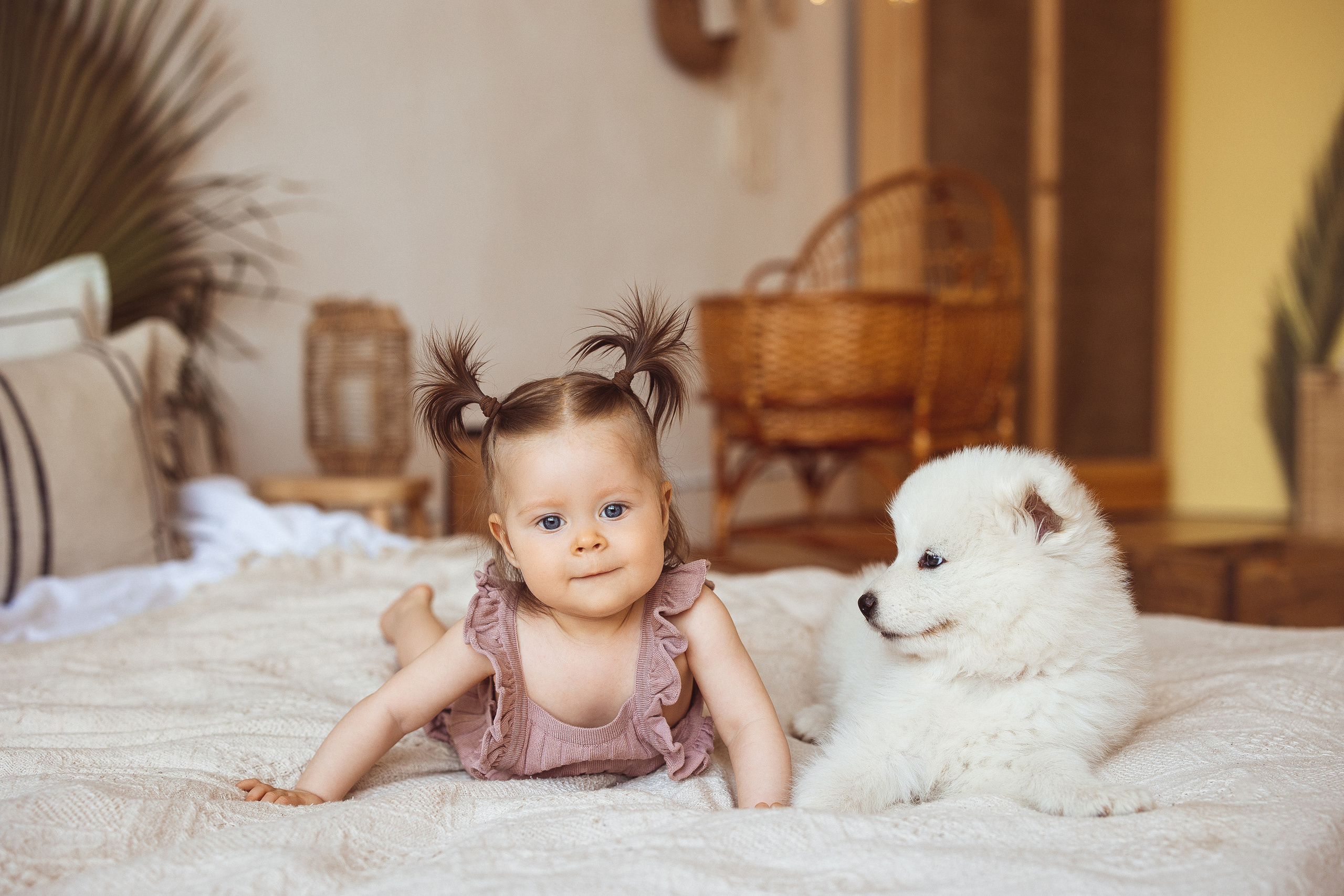 С щенками. Семейный и детский фотограф в Краснодаре Анна Трашкова
