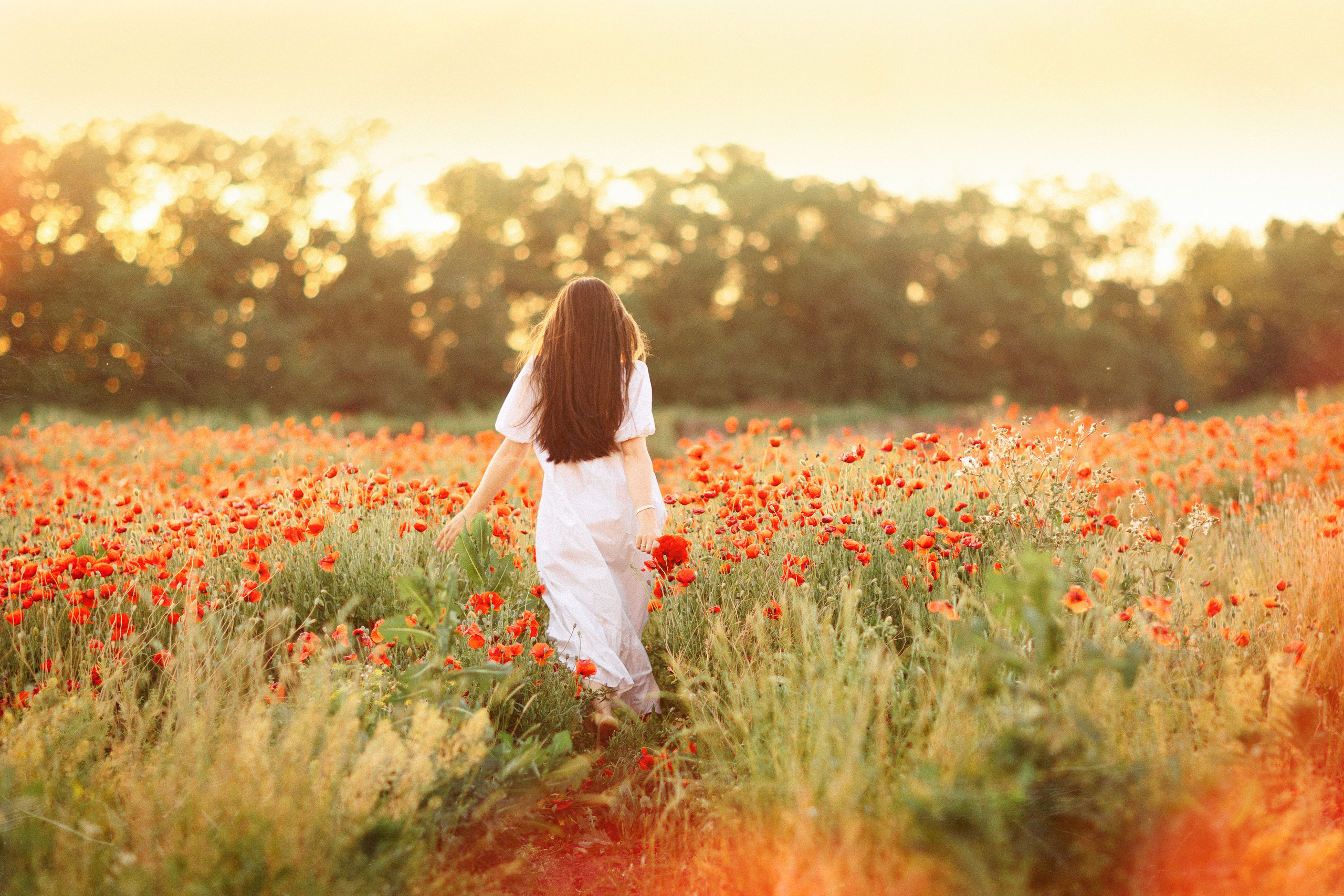 Фотосессия в маковом поле, Краснодар. Семейный и детский фотограф в Краснодаре Анна Трашкова
