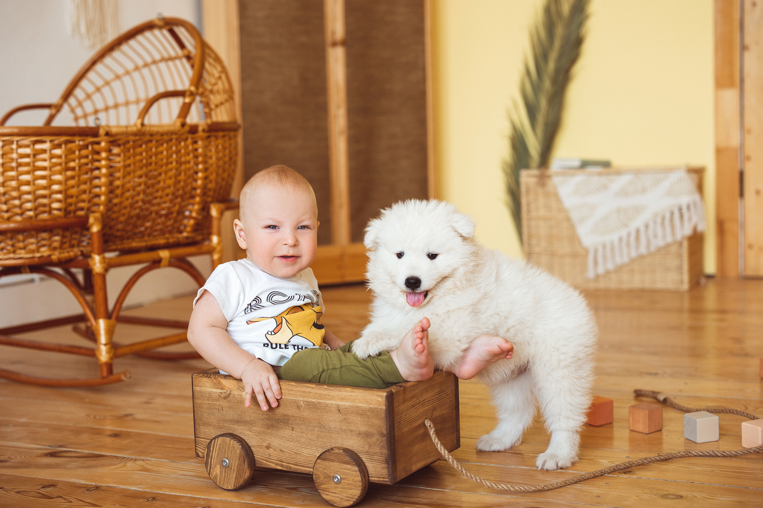 С щенками. Семейный и детский фотограф в Краснодаре Анна Трашкова