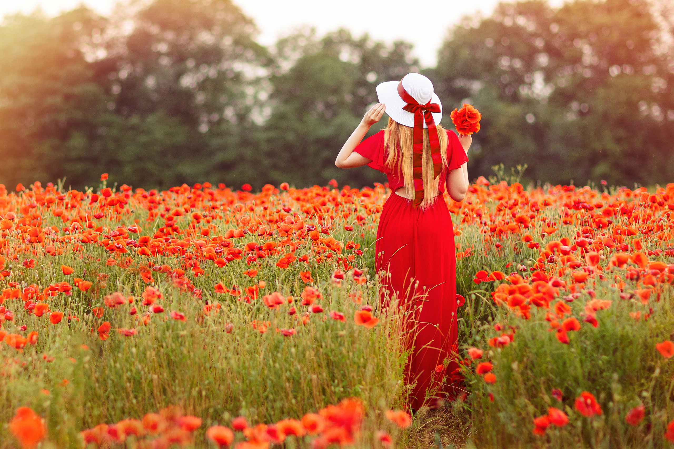 Фотосессия в маковом поле, Краснодар. Семейный и детский фотограф в Краснодаре Анна Трашкова