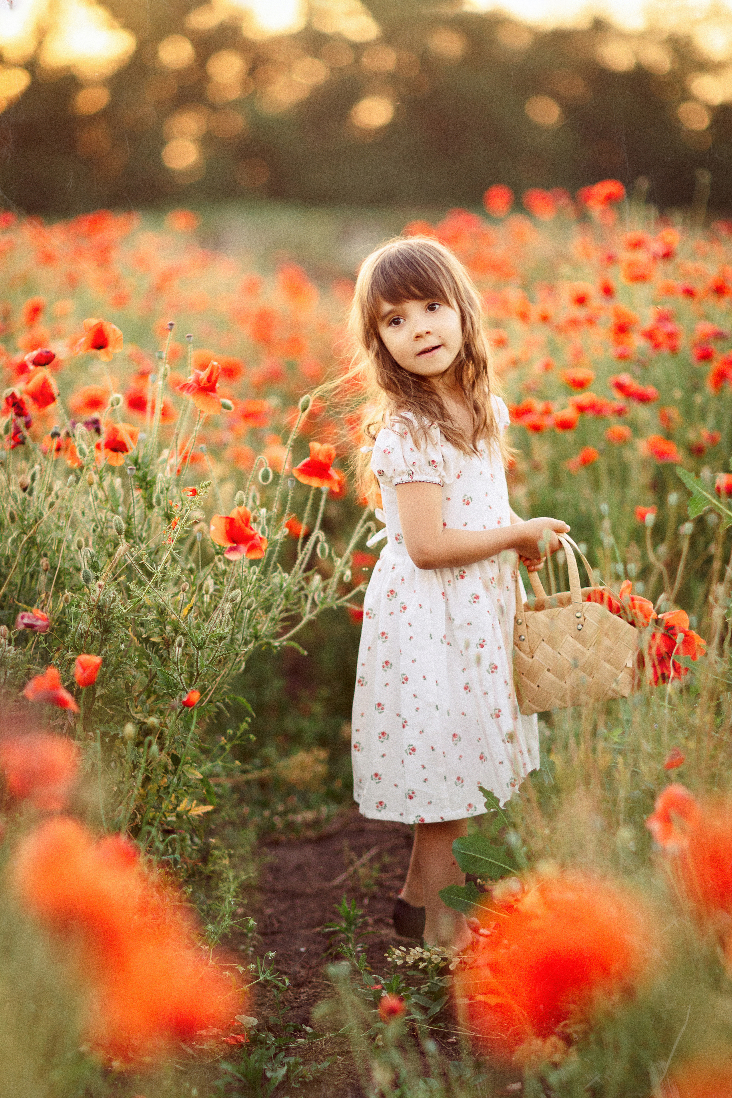 Фотосессия в маковом поле, Краснодар. Семейный и детский фотограф в Краснодаре Анна Трашкова