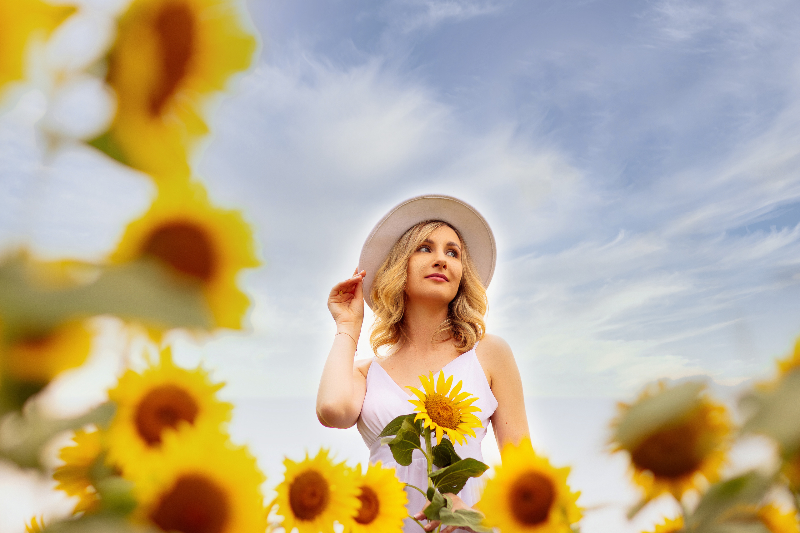 Фотосессия в подсолнухах в Краснодаре. Семейный и детский фотограф в Краснодаре Анна Трашкова